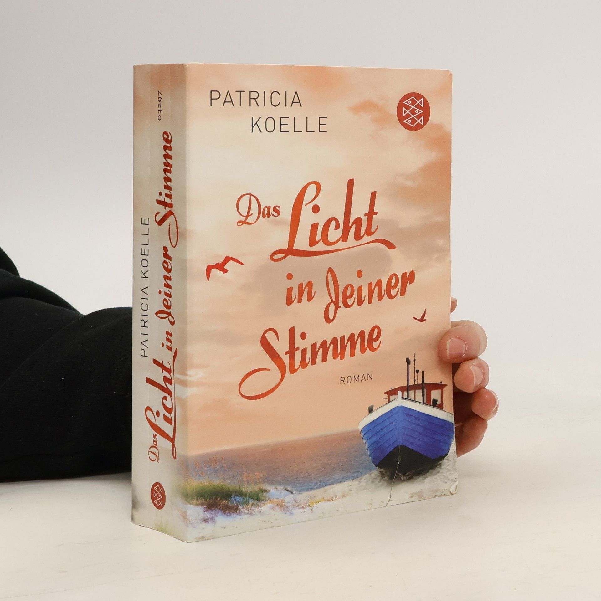 Patricia Koelle Das Licht in deiner Stimme