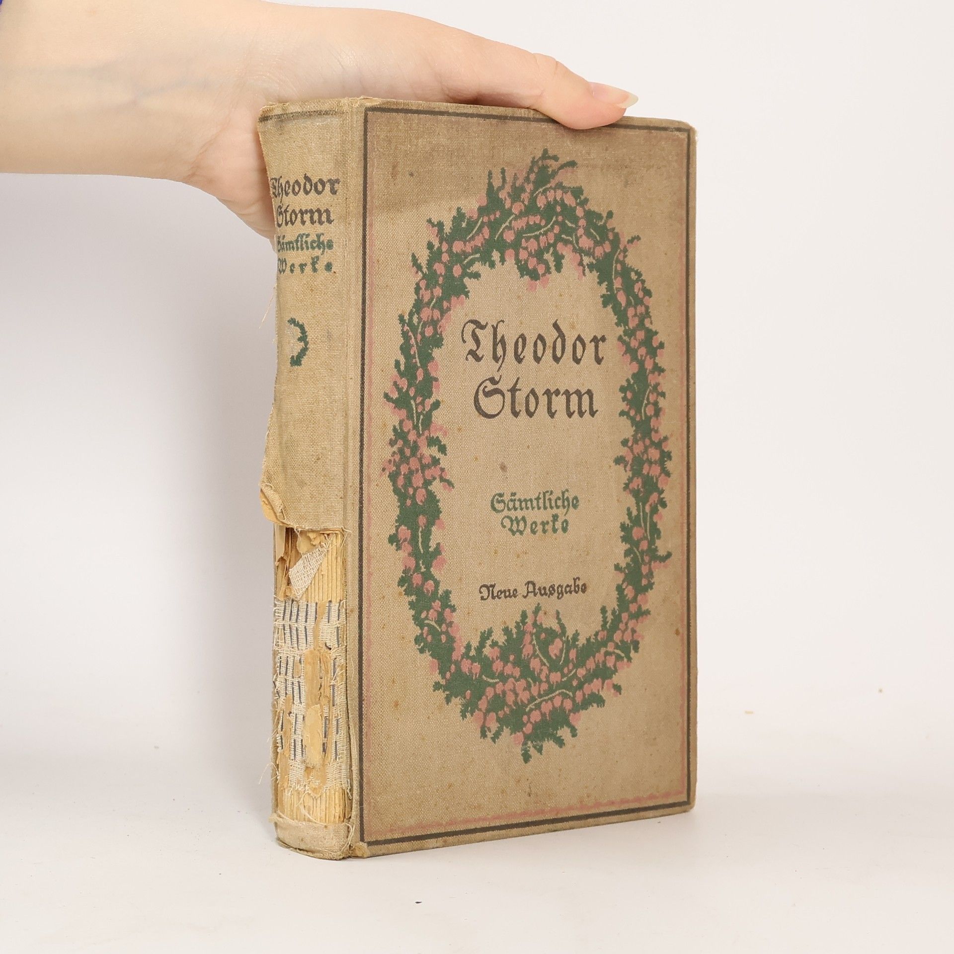 Theodor Storm Sämtliche Werke. Band 5