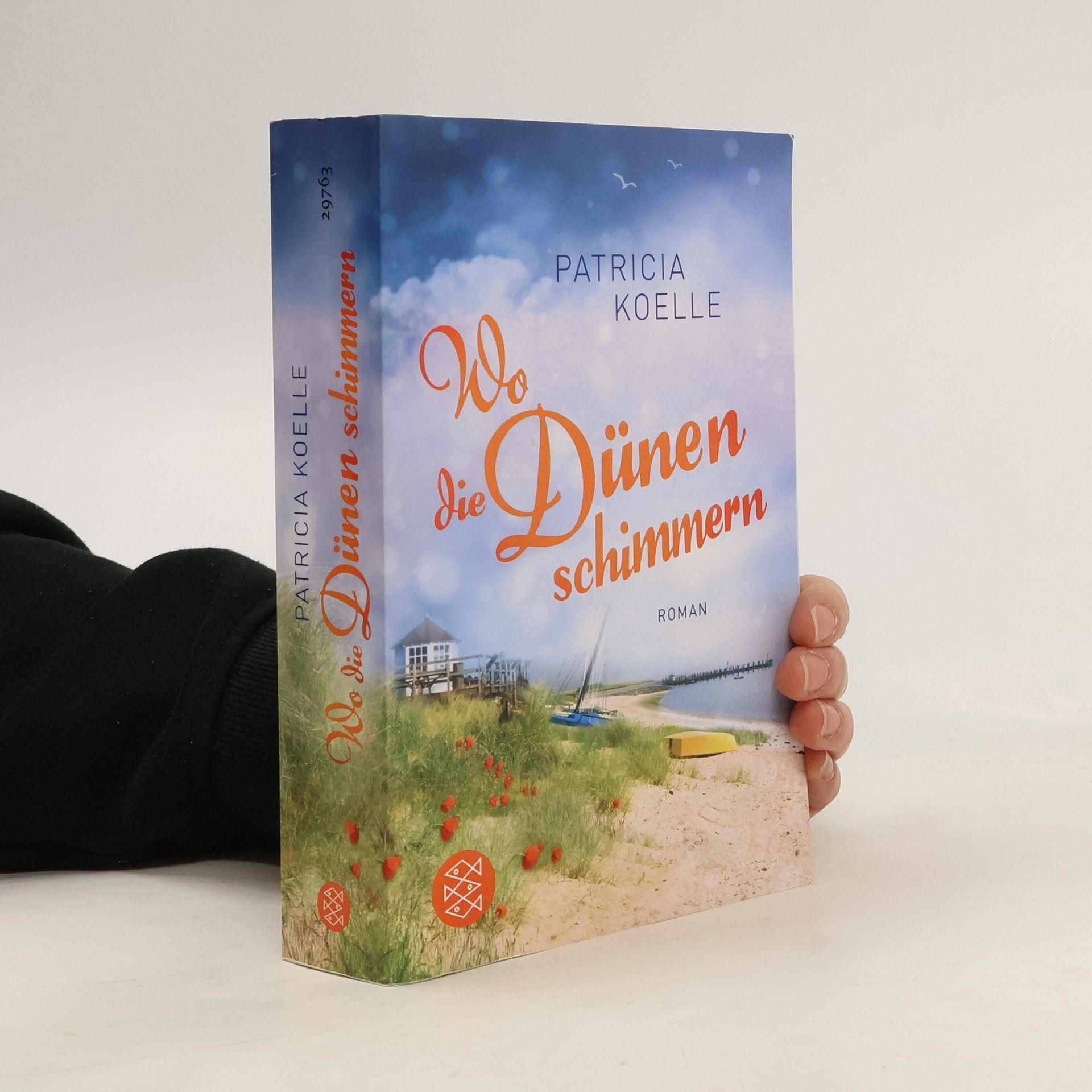 Patricia Koelle Wo die Dünen schimmern