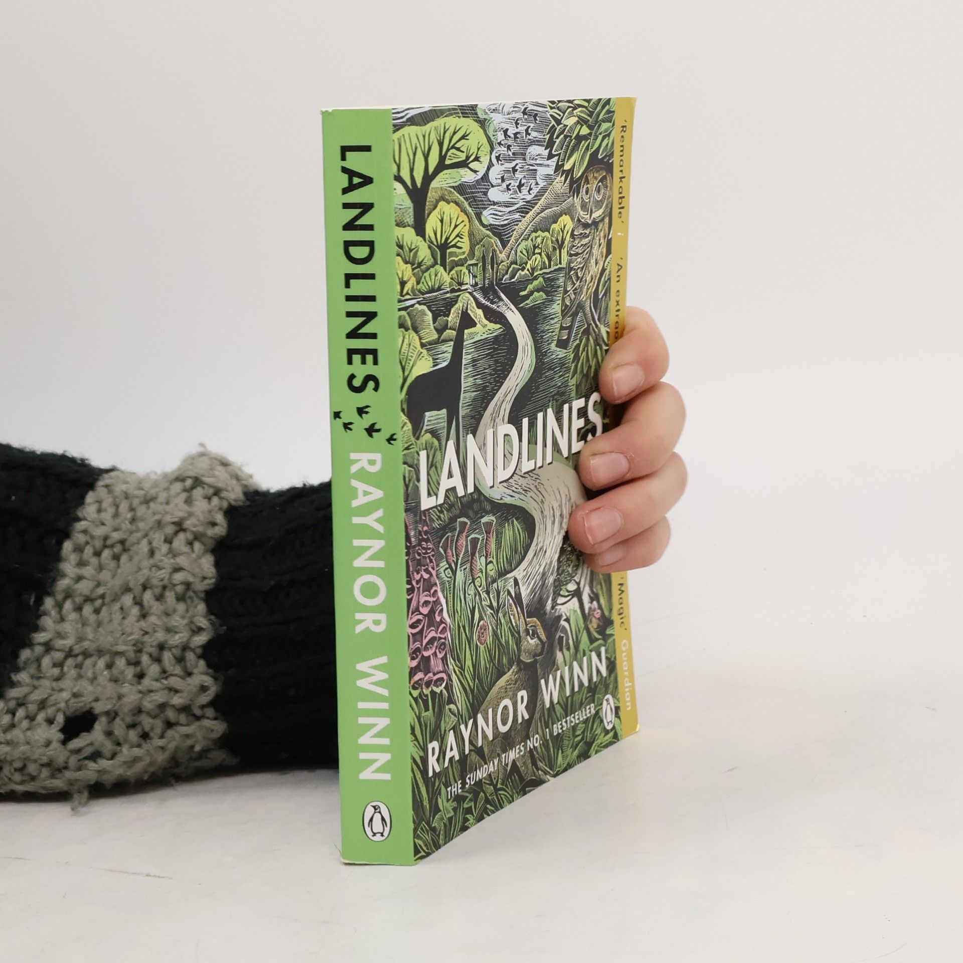 Raynor Winn Landlines