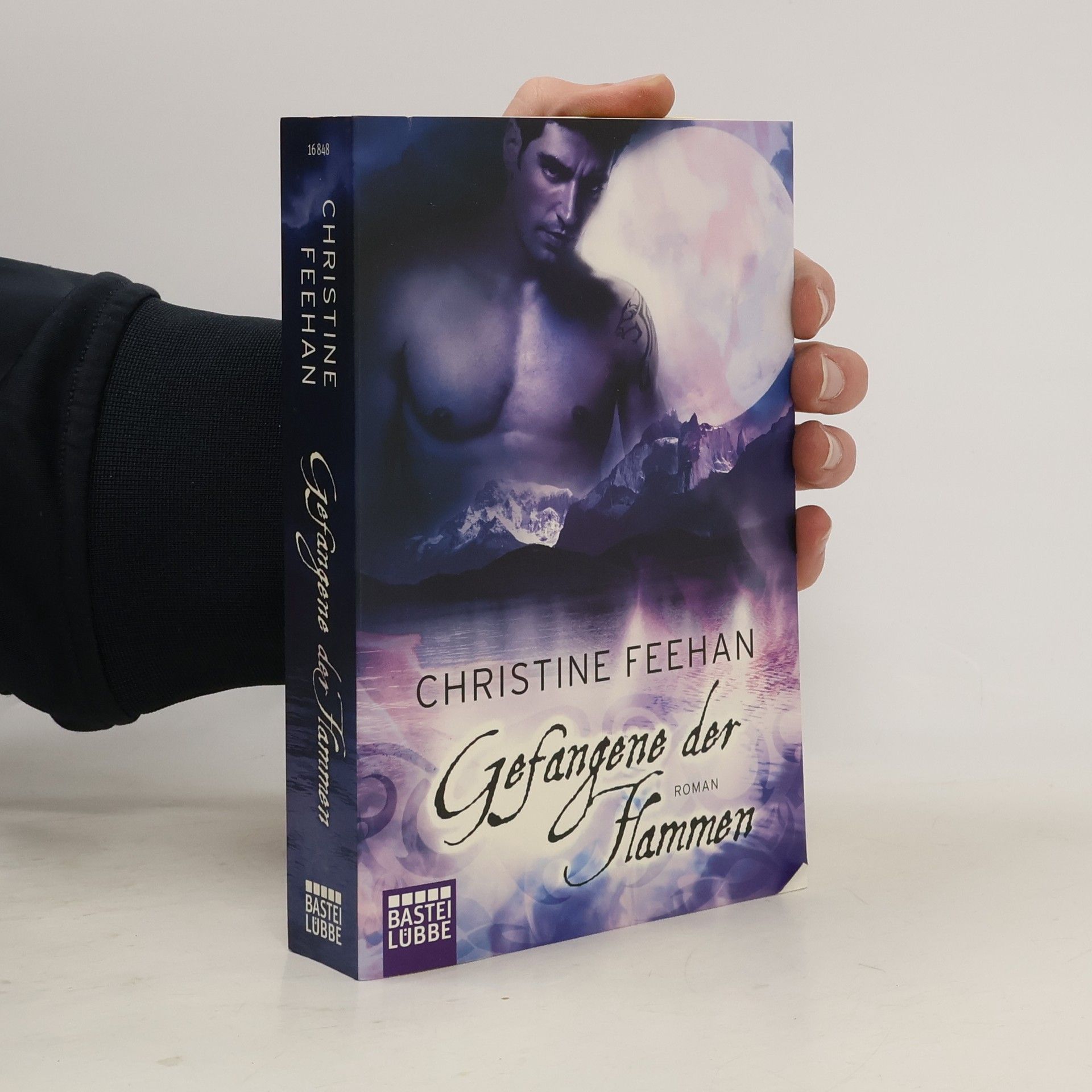 Christine Feehan Gefangene der Flammen