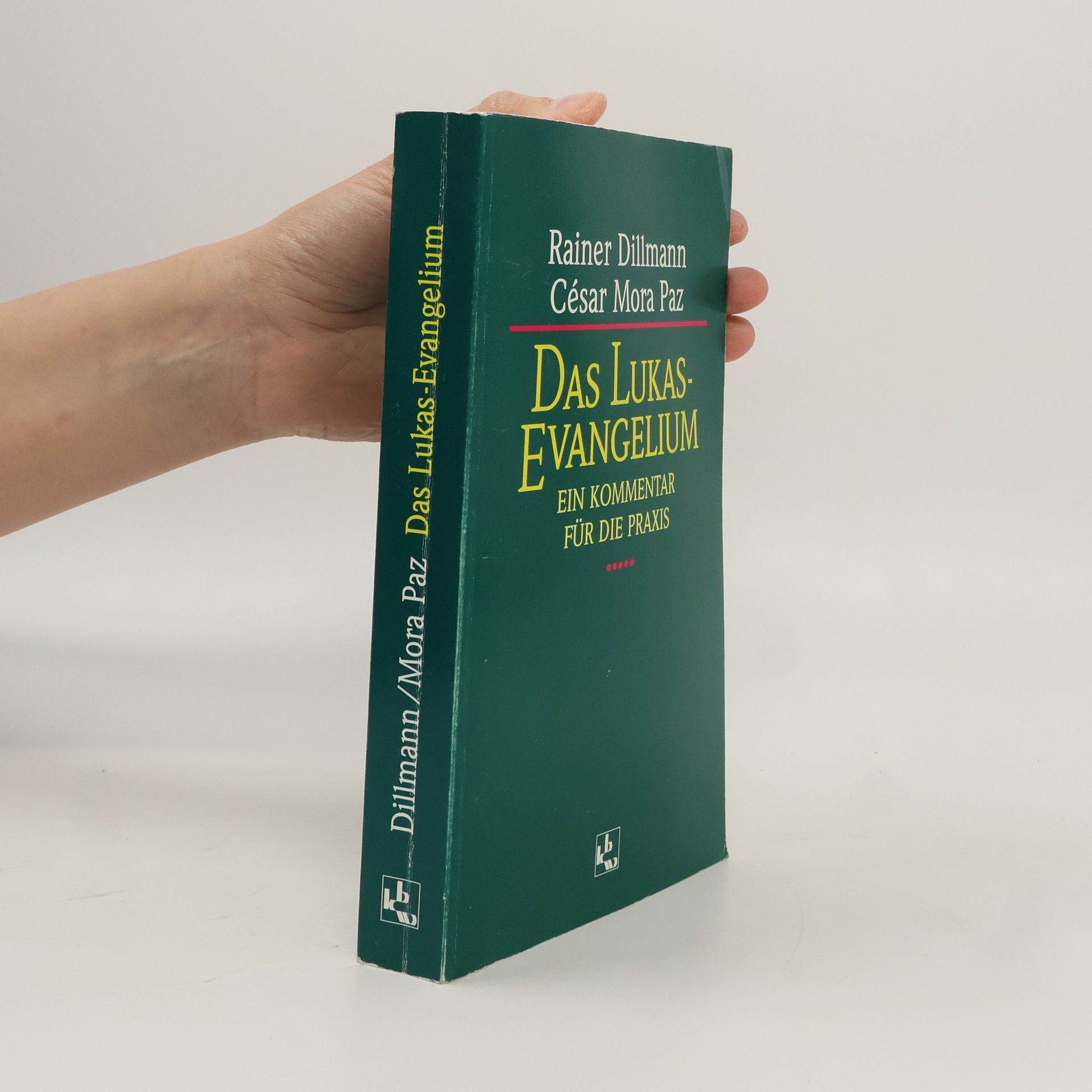 Rainer Dillmann Das Lukas-Evangelium