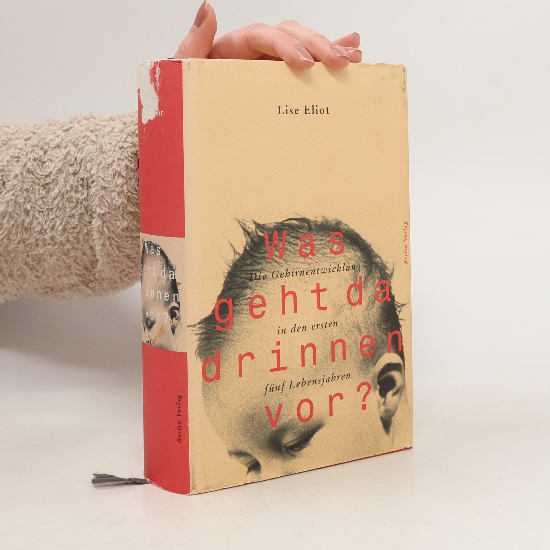 Was geht da drinnen vor?