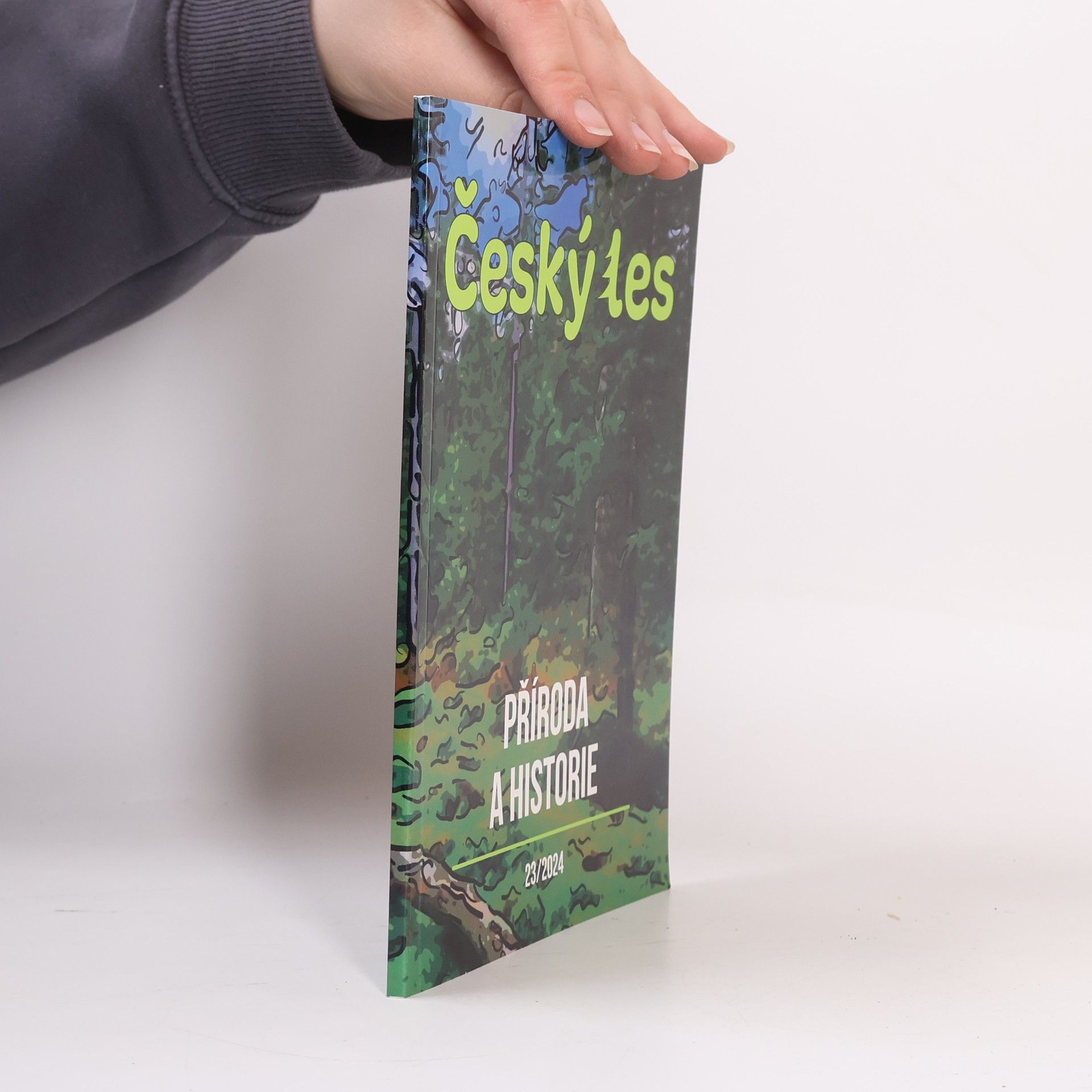 Autorenkollektiv Český les. příroda a historie