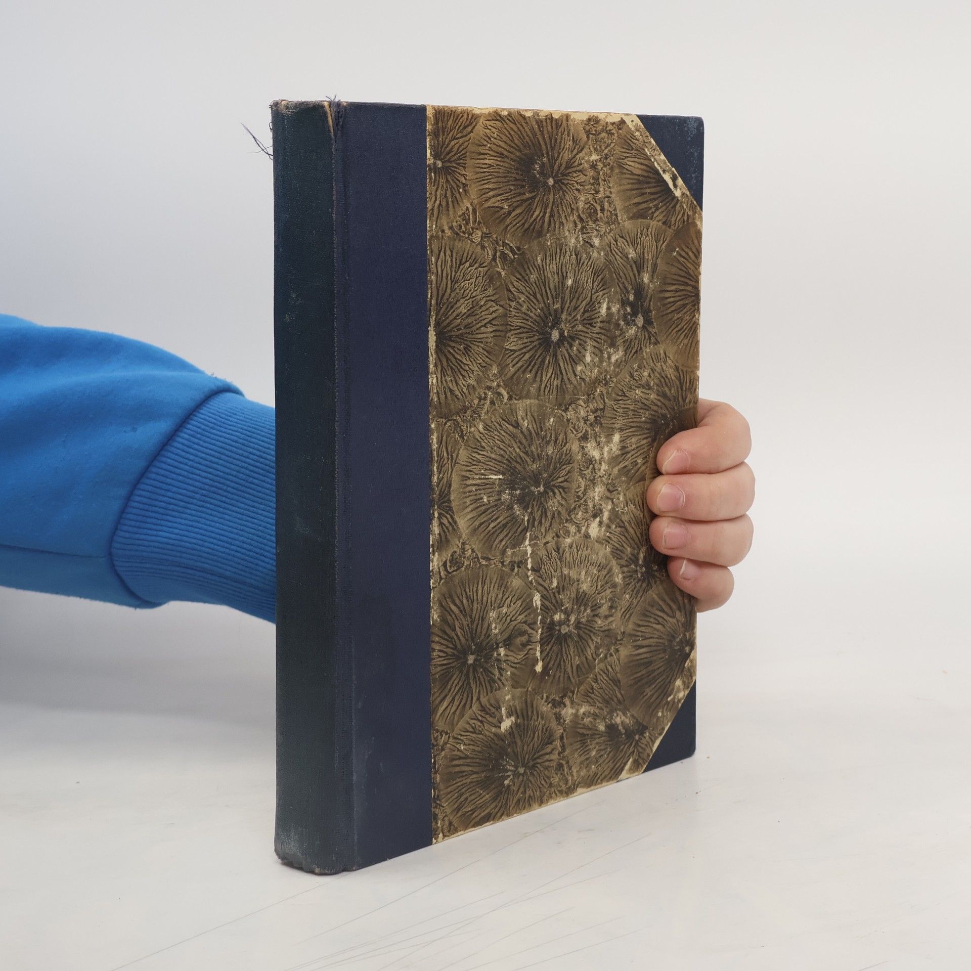 Josephus Válka židovská II.