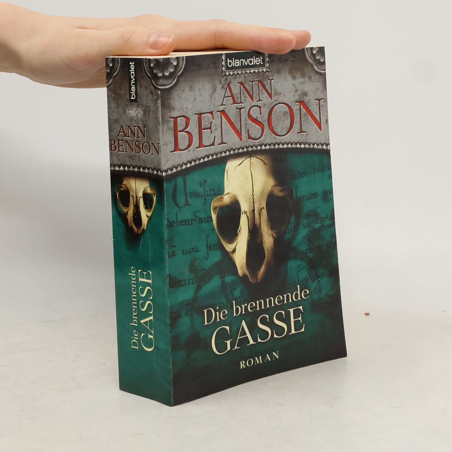 Ann Benson Die brennende Gasse