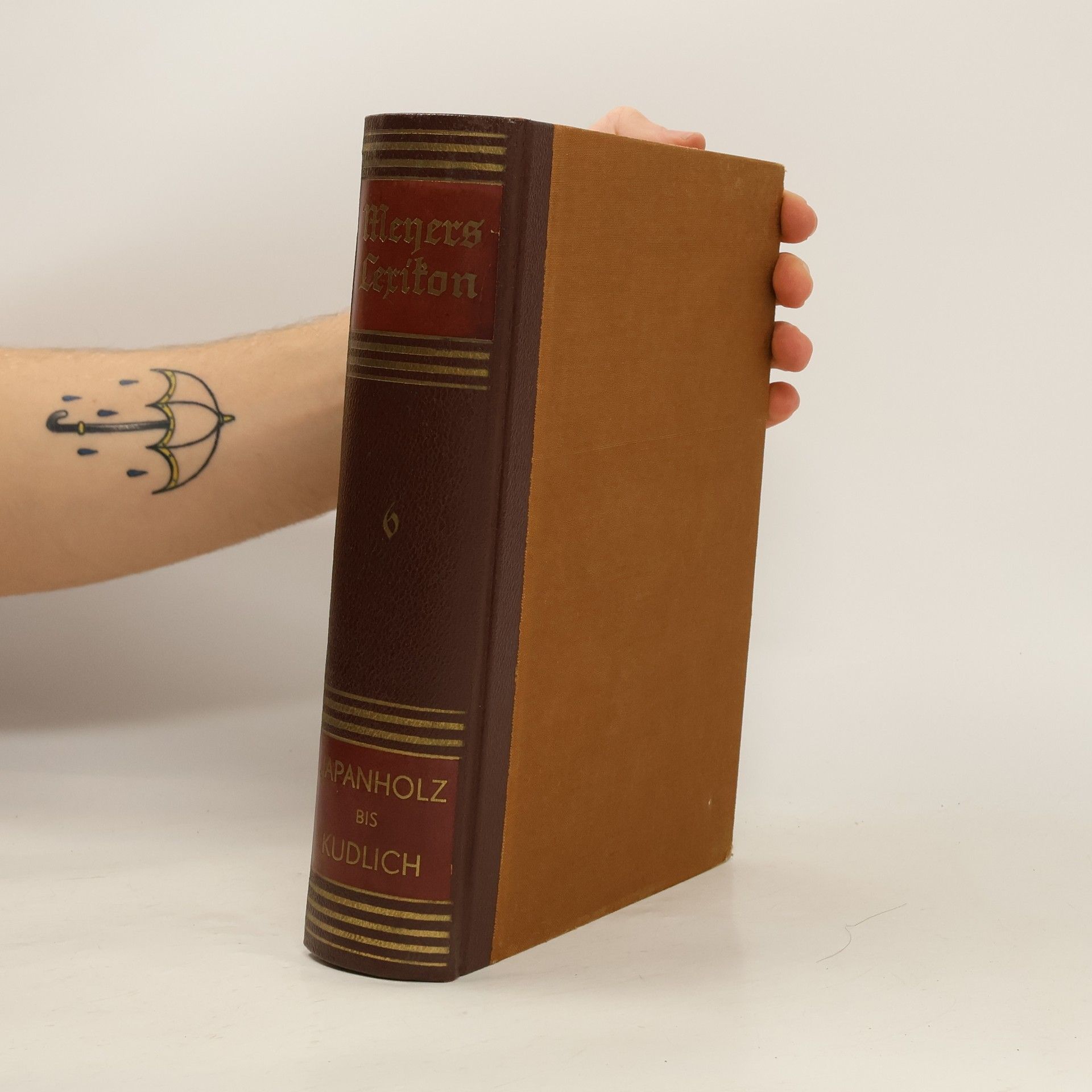 Autorenkollektiv Meyers Lexikon. Band 6