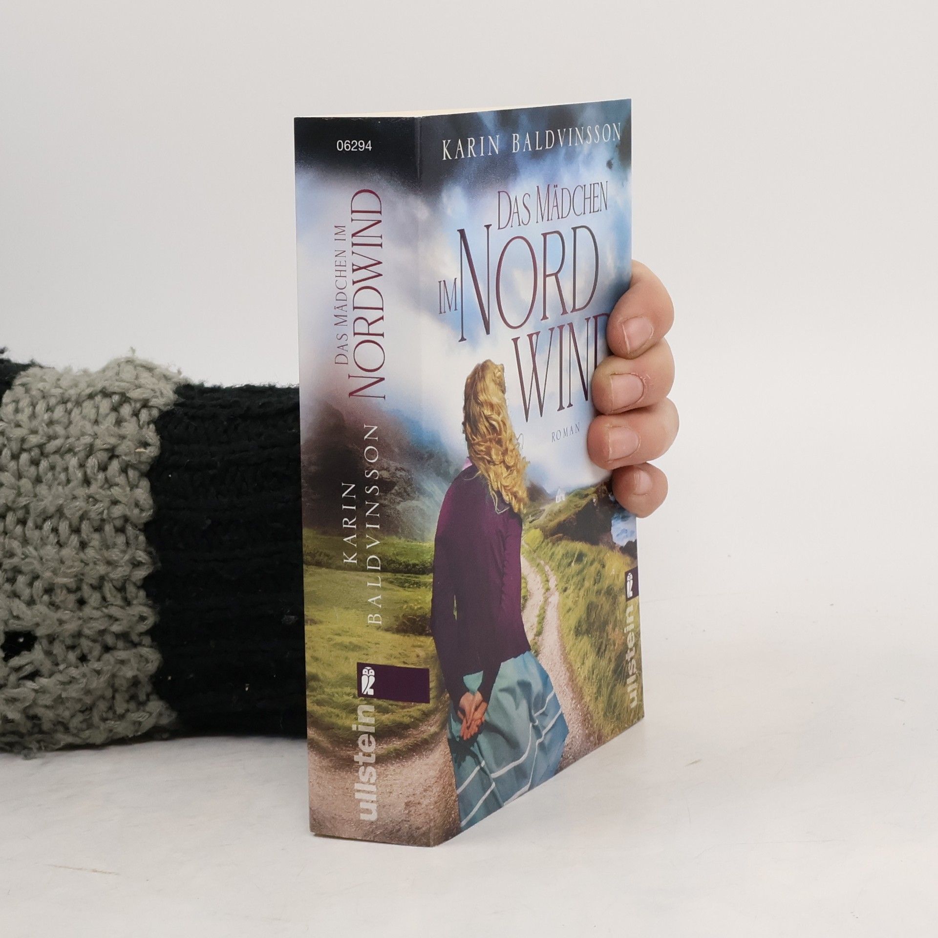 Karin Baldvinsson Das Mädchen im Nordwind