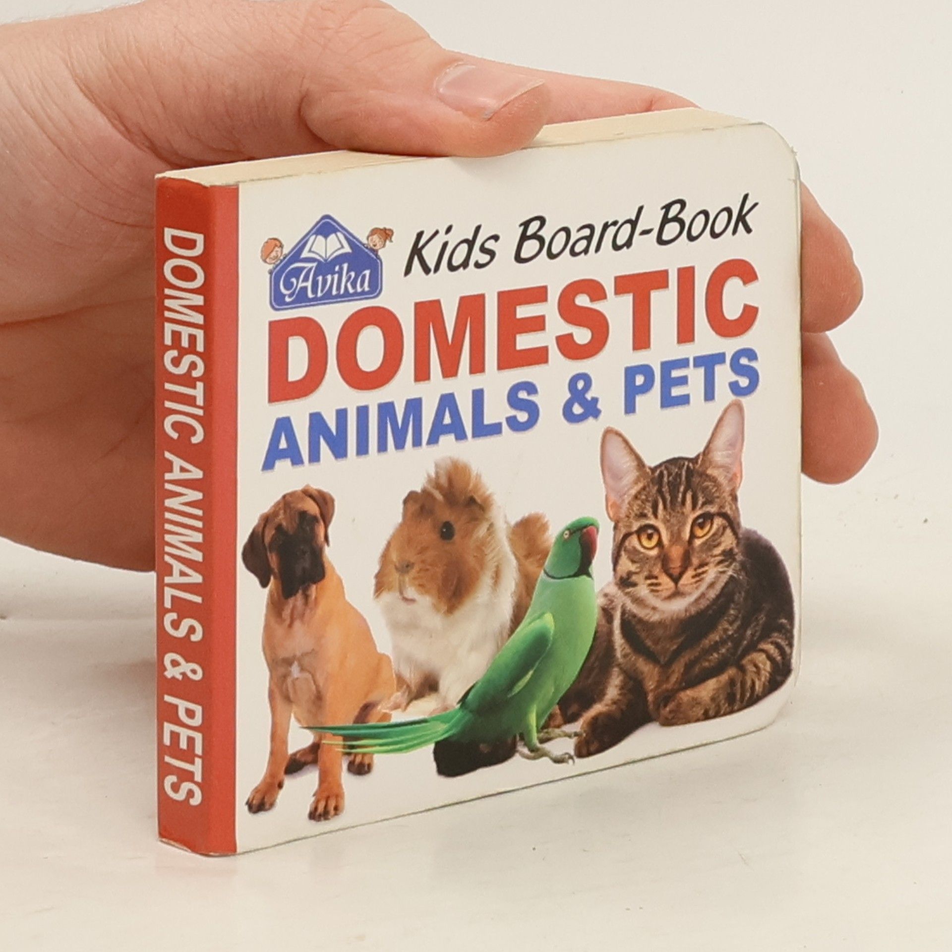 Autores varios Domestic Animal&Pets