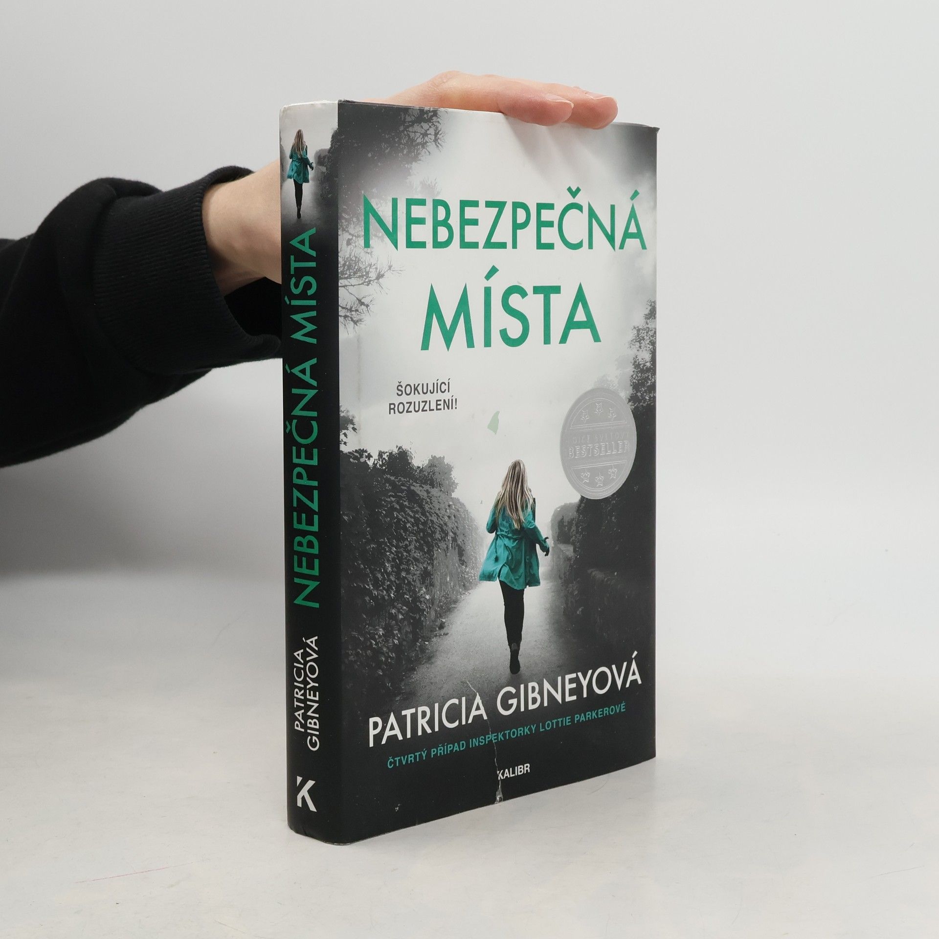 Patricia Gibney Nebezpečná místa