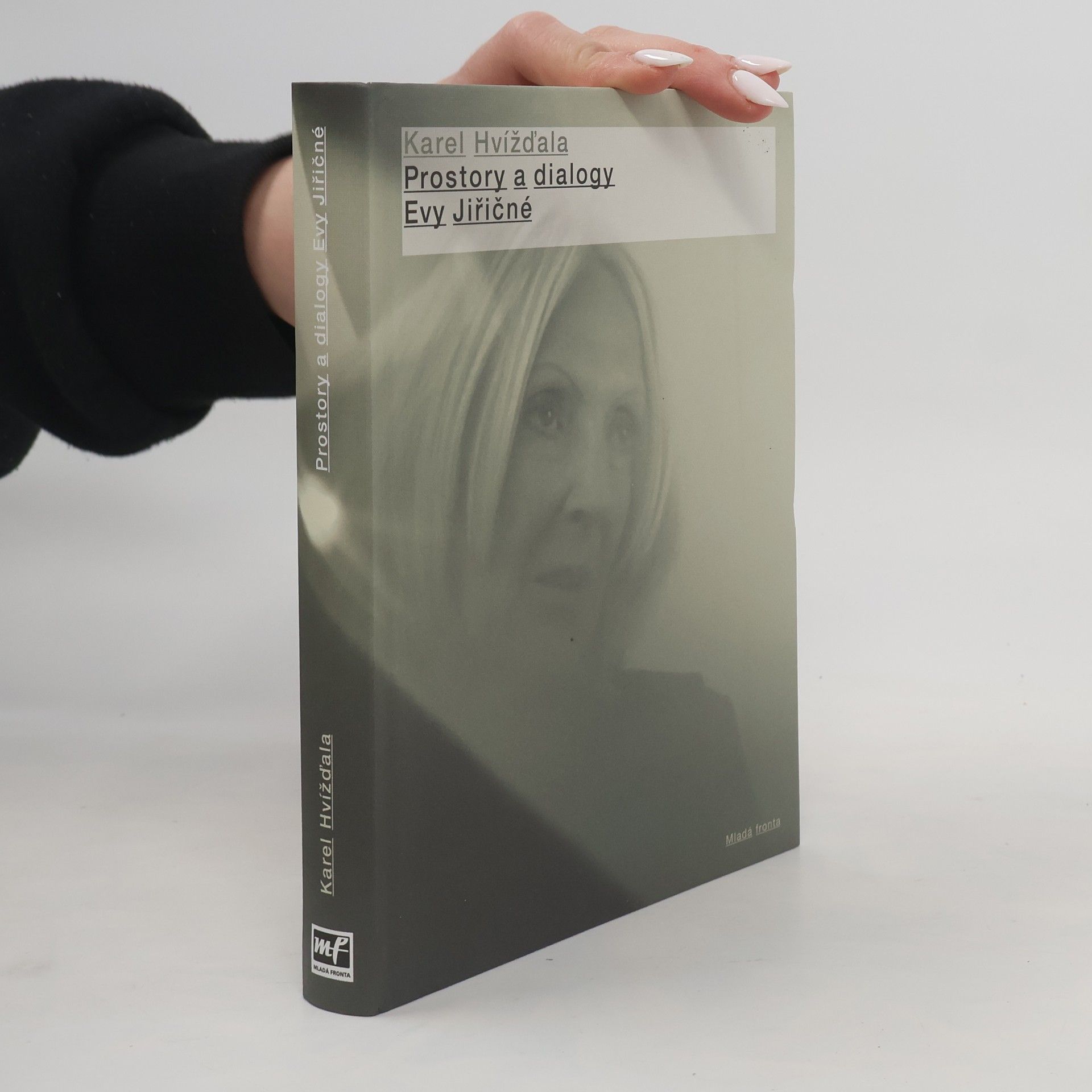 Karel Hvížďala Prostory a dialogy Evy Jiřičné