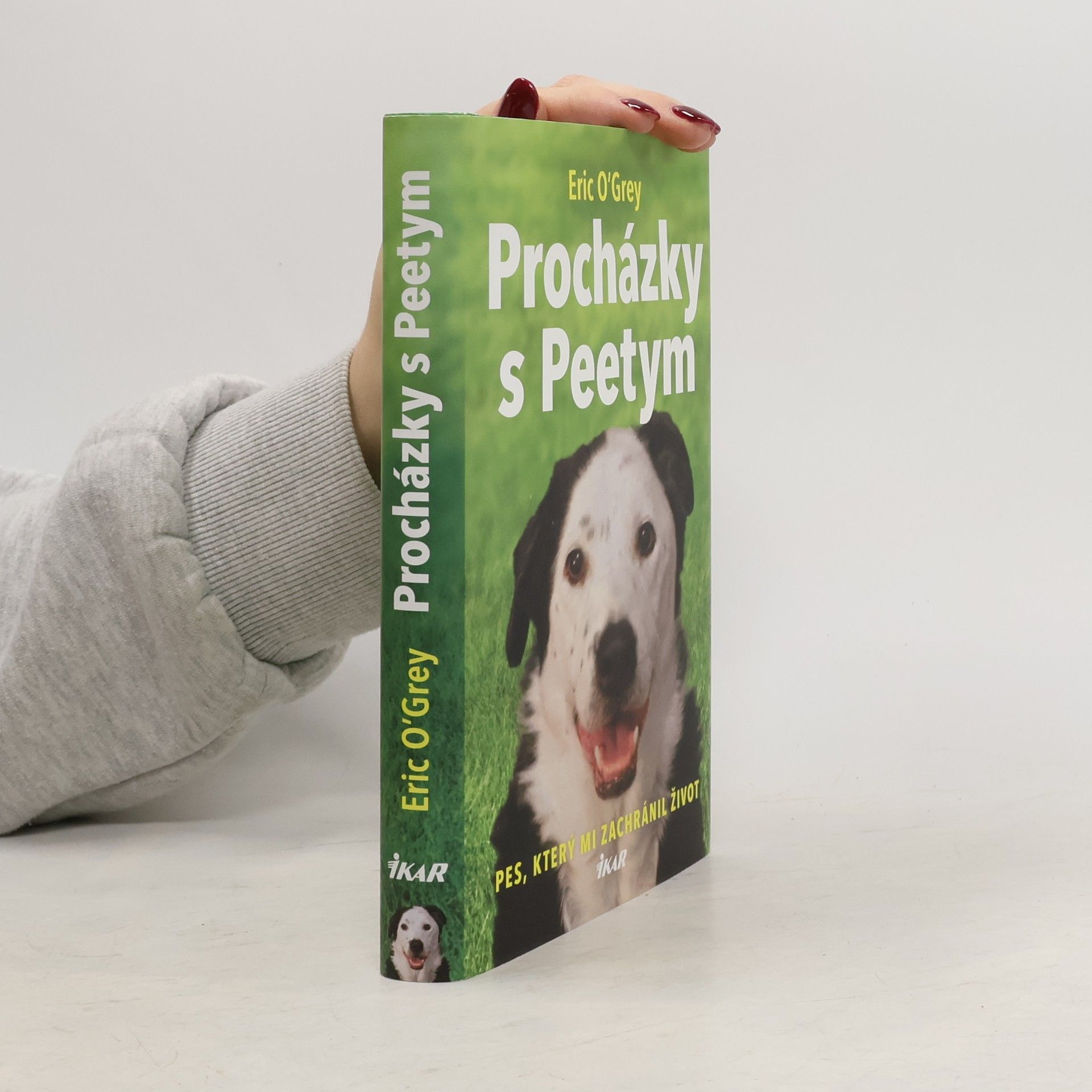 Procházky s Peetym : pes, který mi zachránil život
