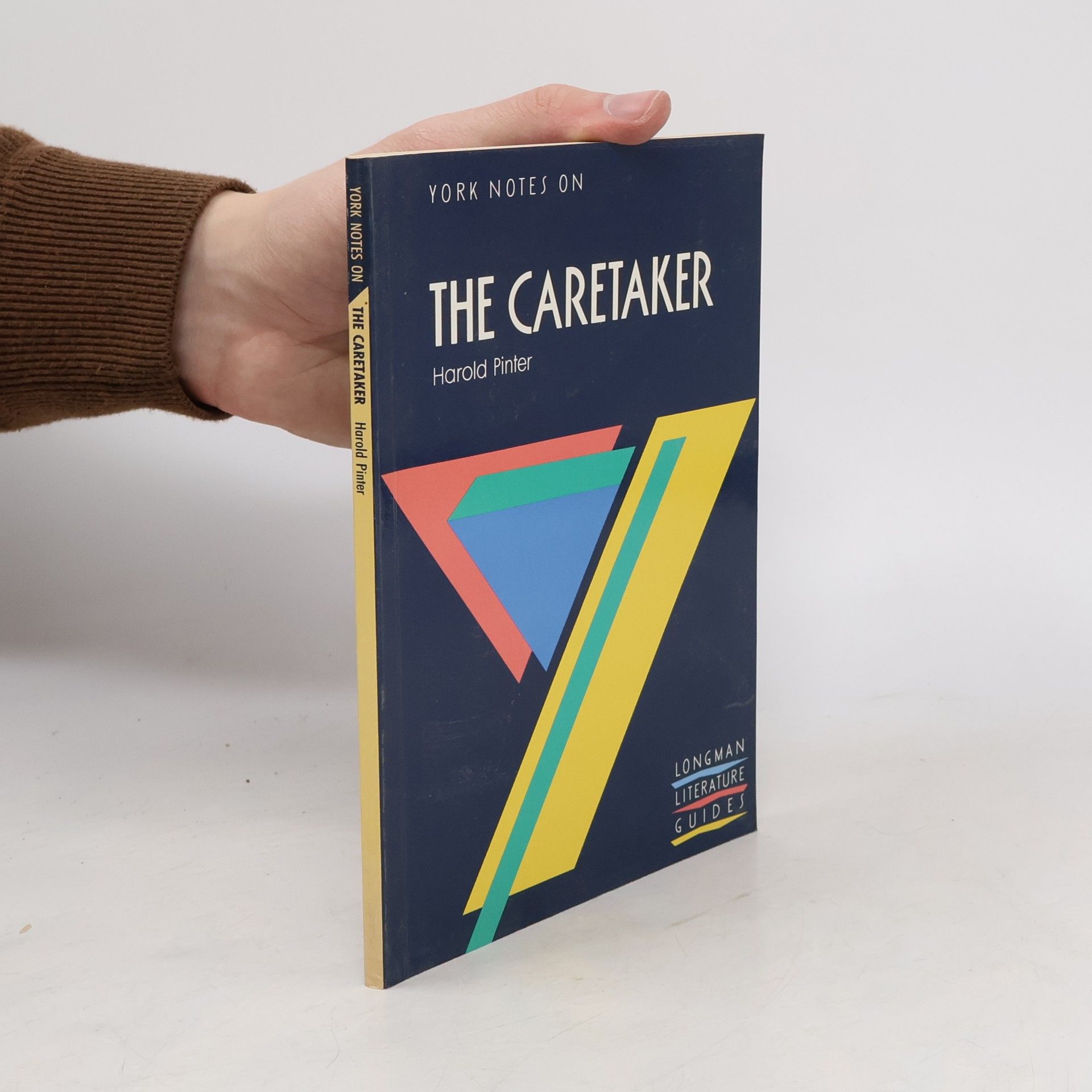 Stephen Martin Harold Pinter, The Caretaker