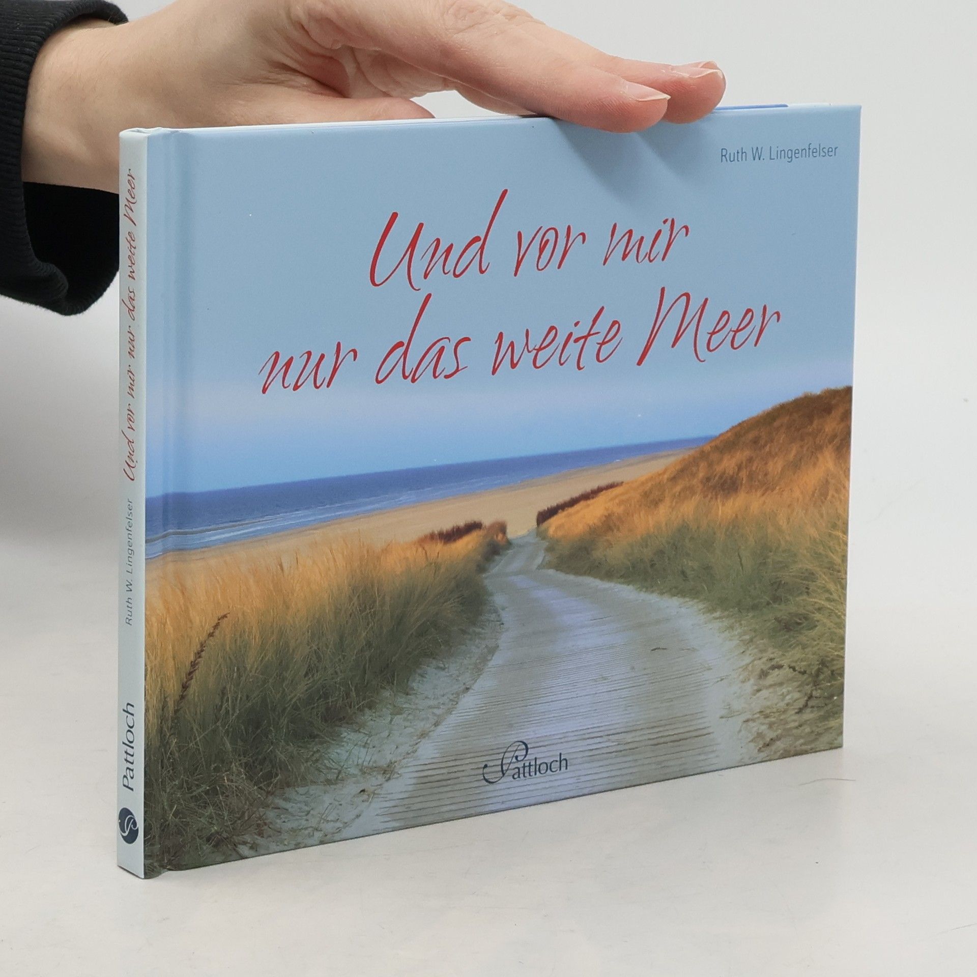 Ruth W. Lingenfelser Und vor mir nur das weite Meer