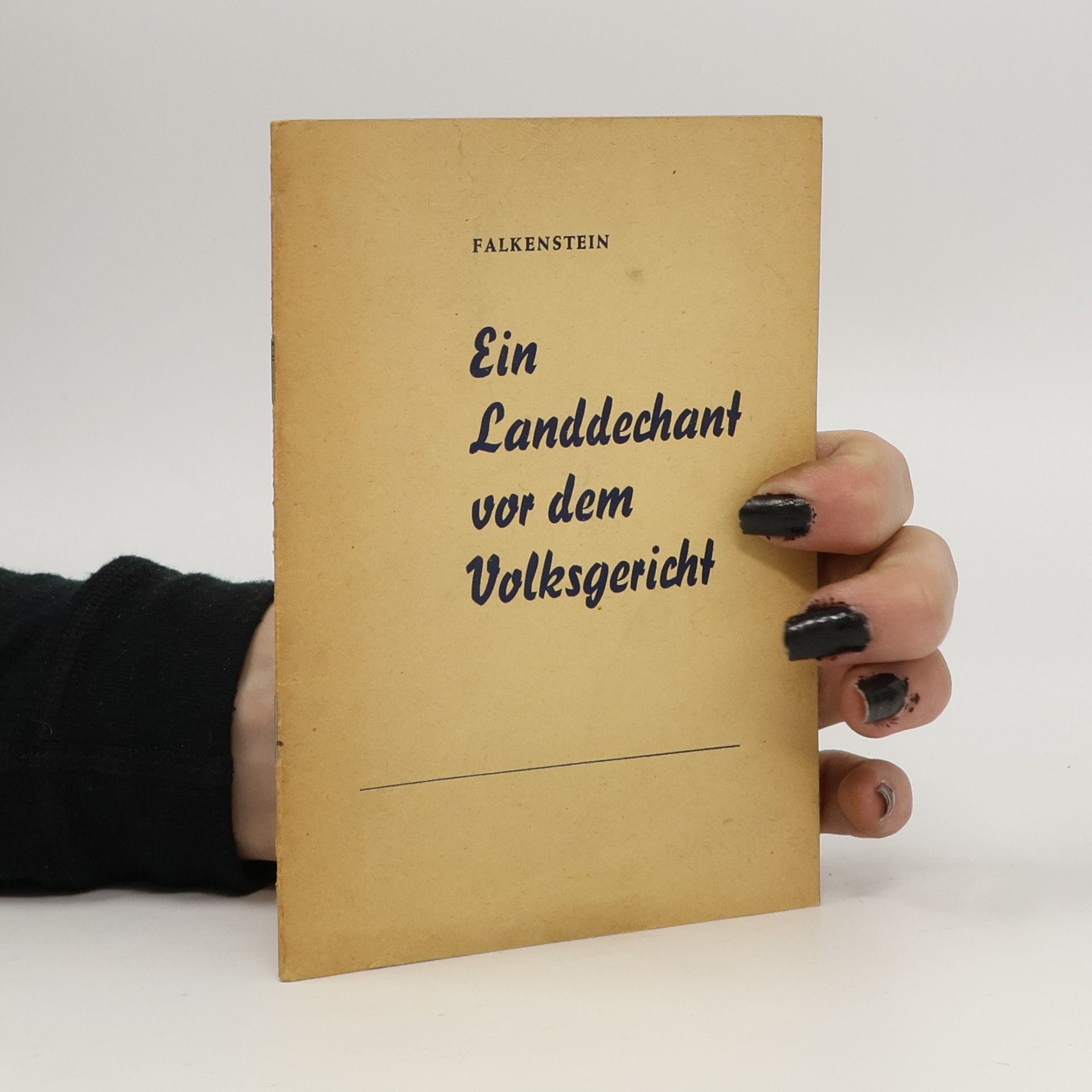 Heinrich Falkenstein Ein Landdechant vor dem Volksgericht