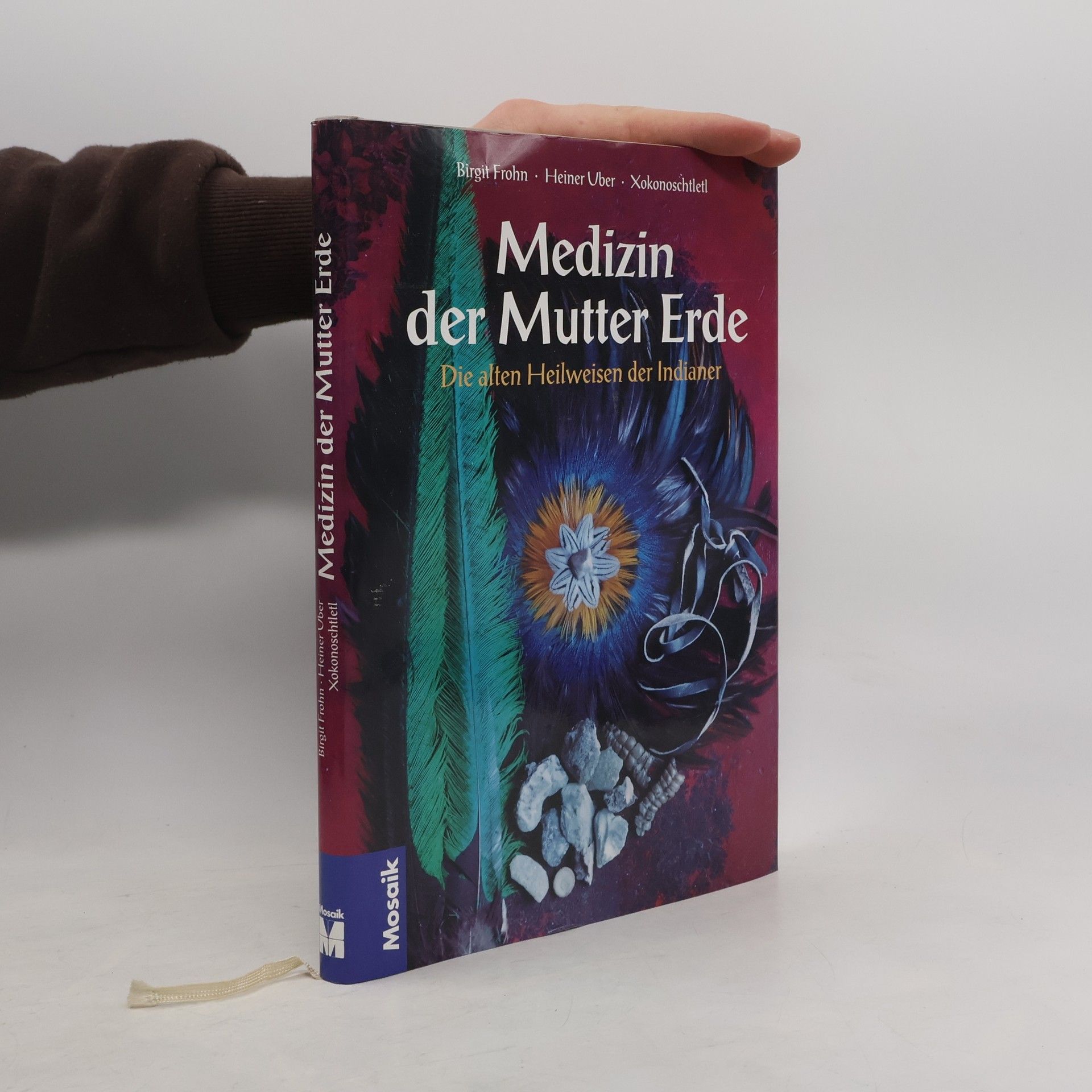 Brigit Frohn Medizin der Mutter Erde