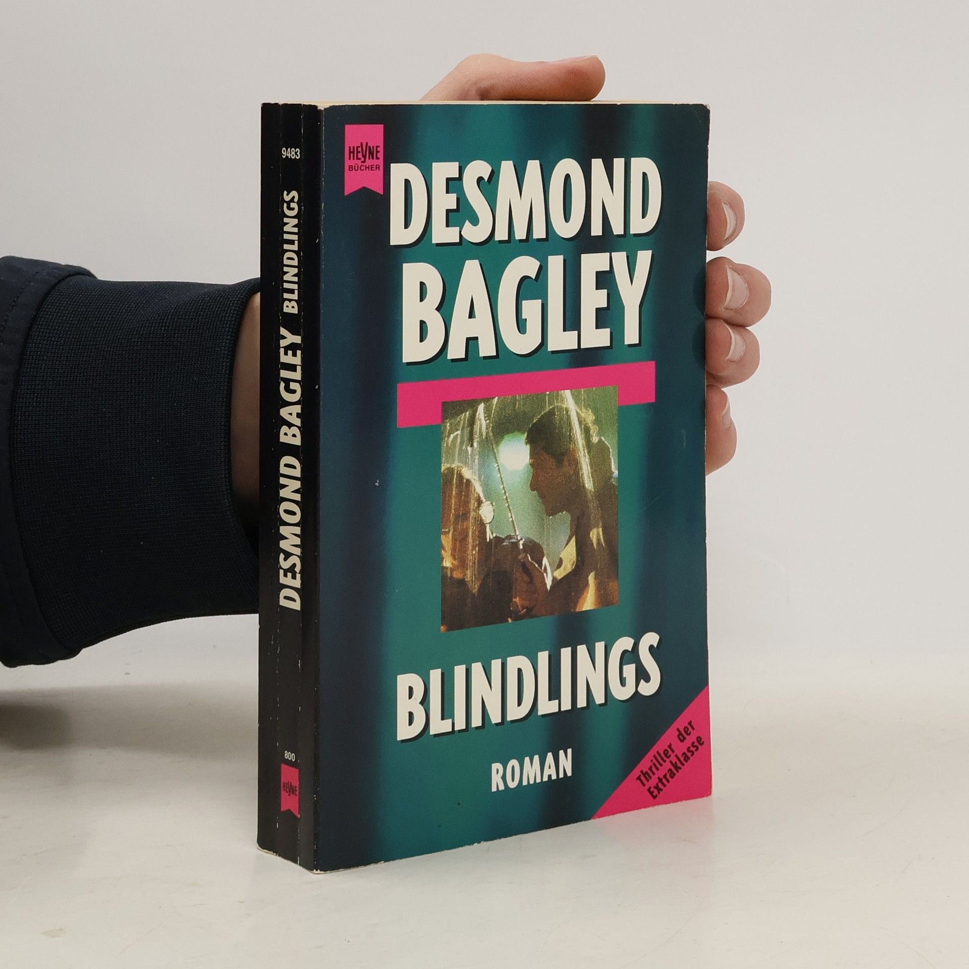 Desmond Bagley Blindlings
