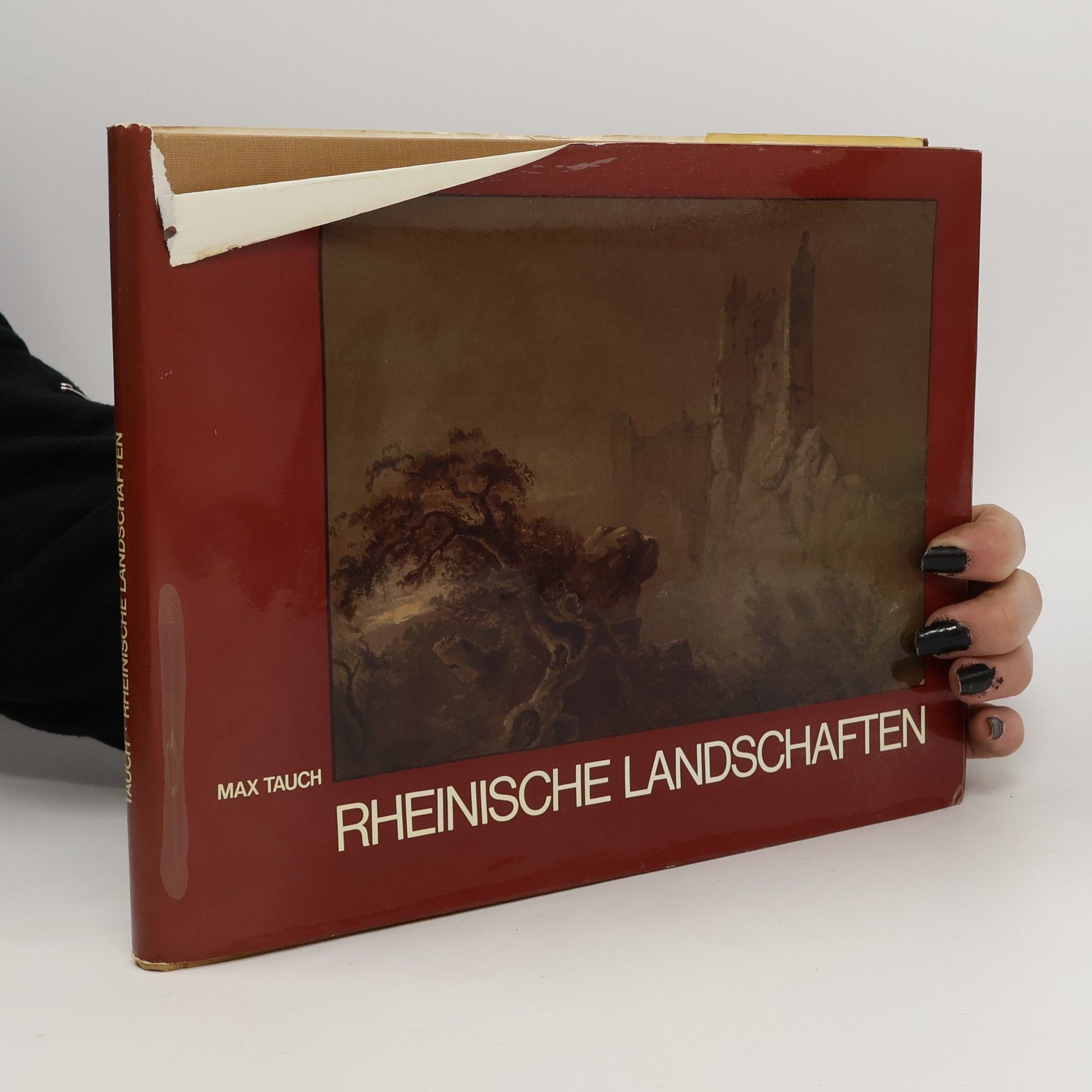 Rheinische Landschaften