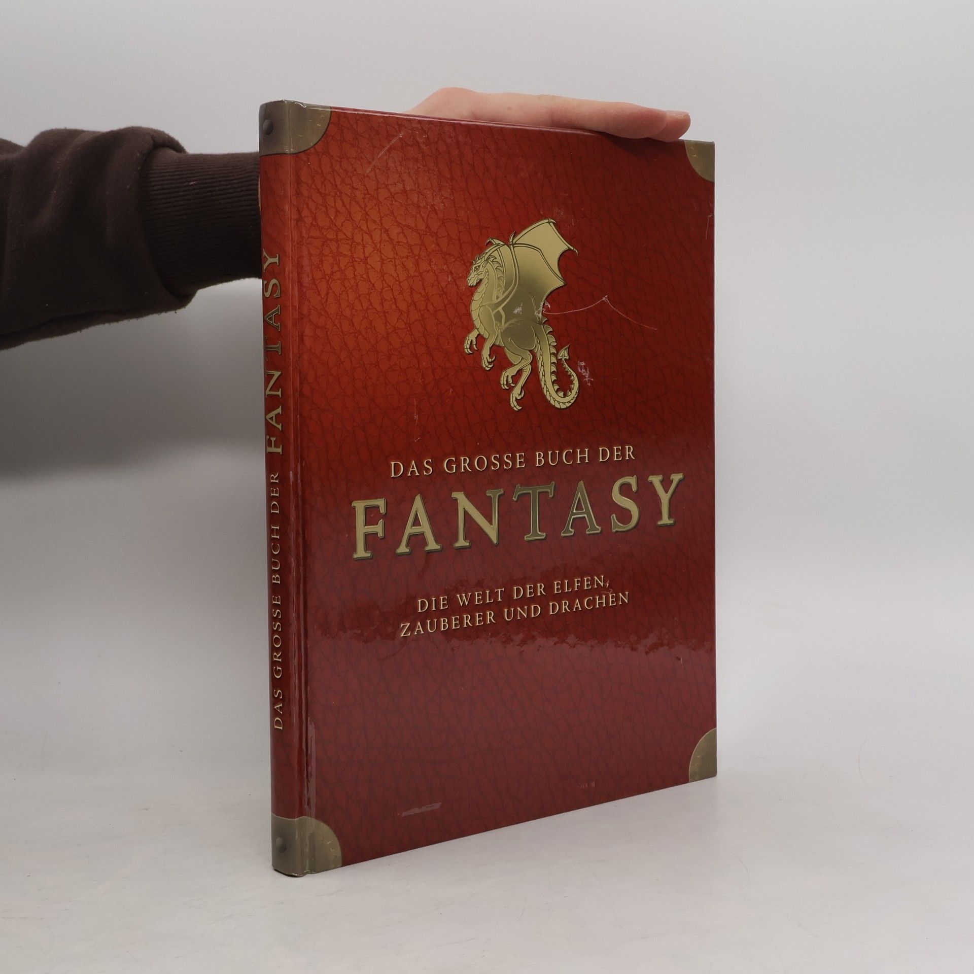 Collectif d'auteurs Das grosse Buch der Fantasy