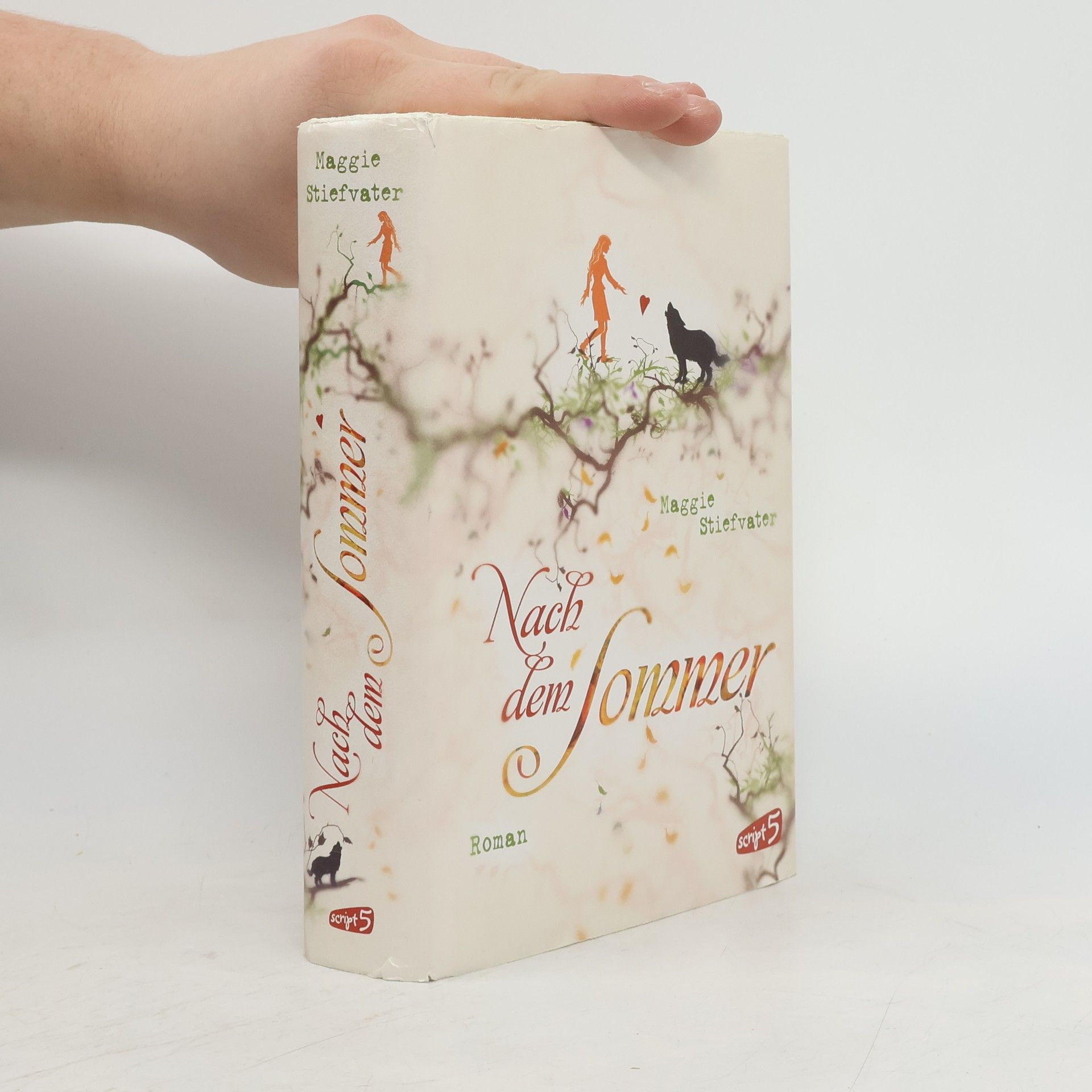 Maggie Stiefvater Nach dem Sommer