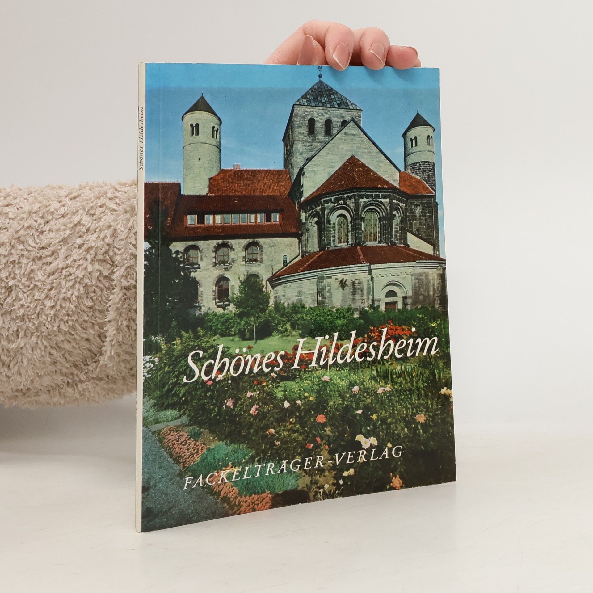 Gerhard Kremeier Schönes Hildesheim