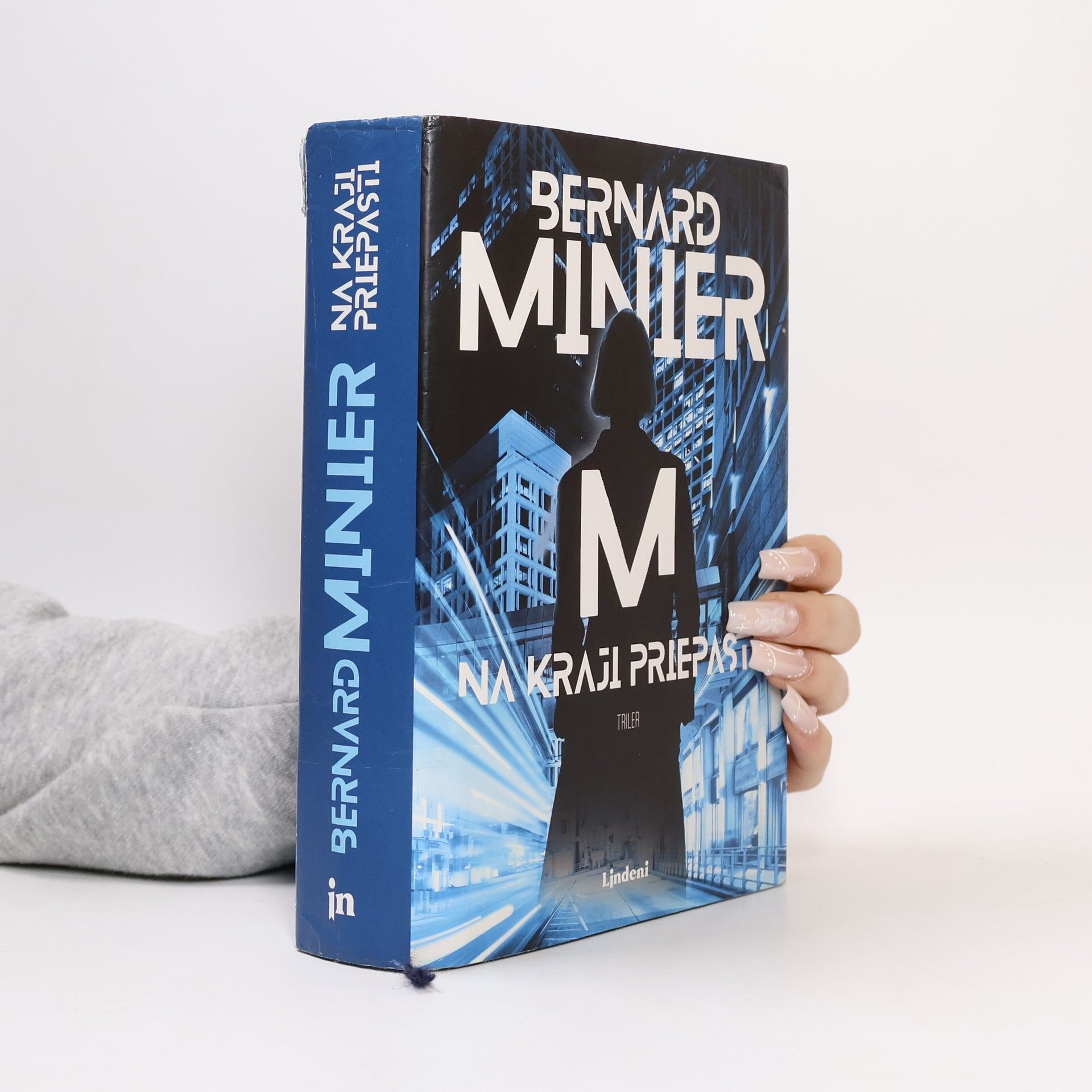 Bernard Minier Na kraji priepasti