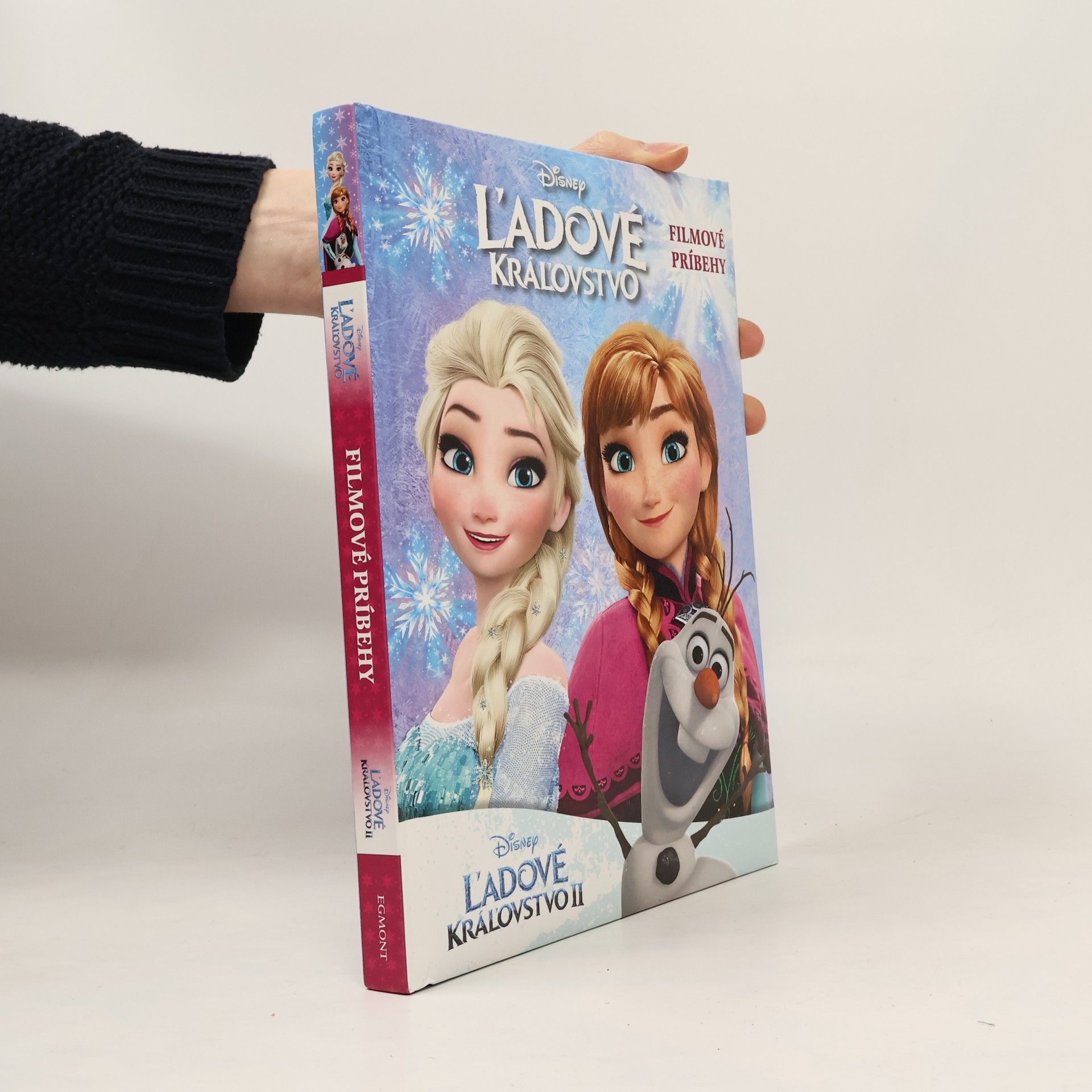 Kolektív autorov Ľadové kráľovstvo