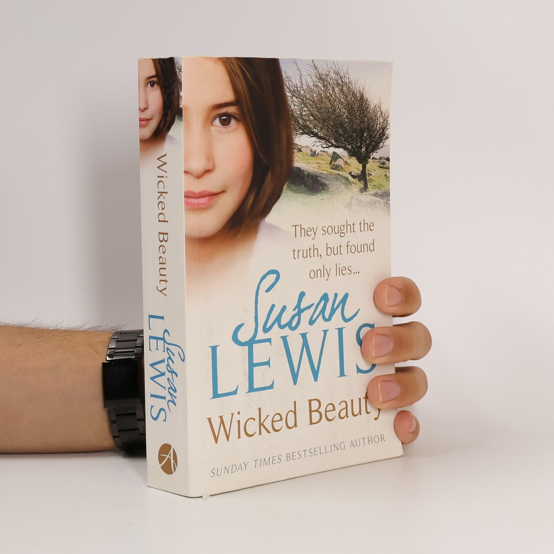 Susan Lewis Wicked Beauty