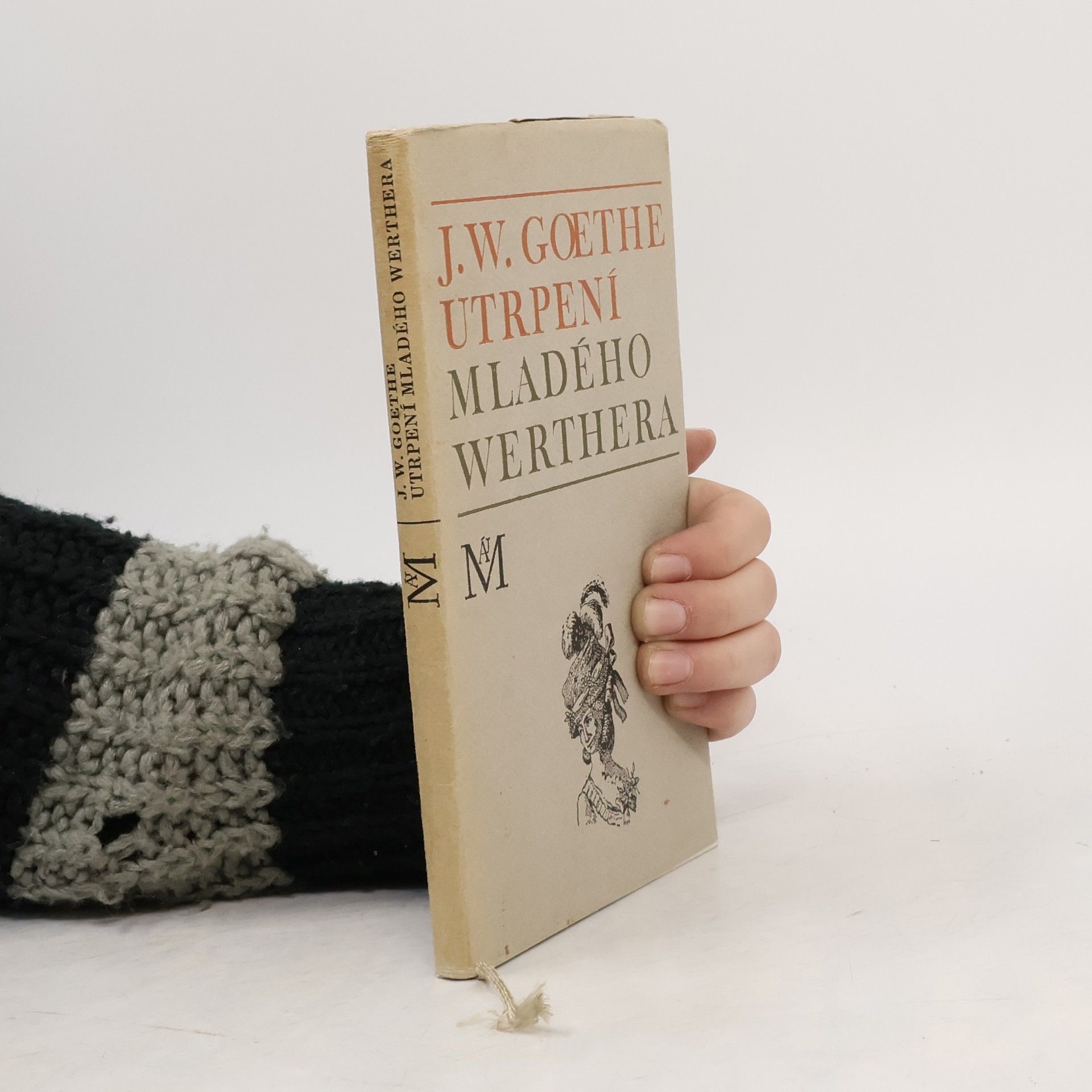Johann Wolfgang von Goethe Utrpení mladého Werthera