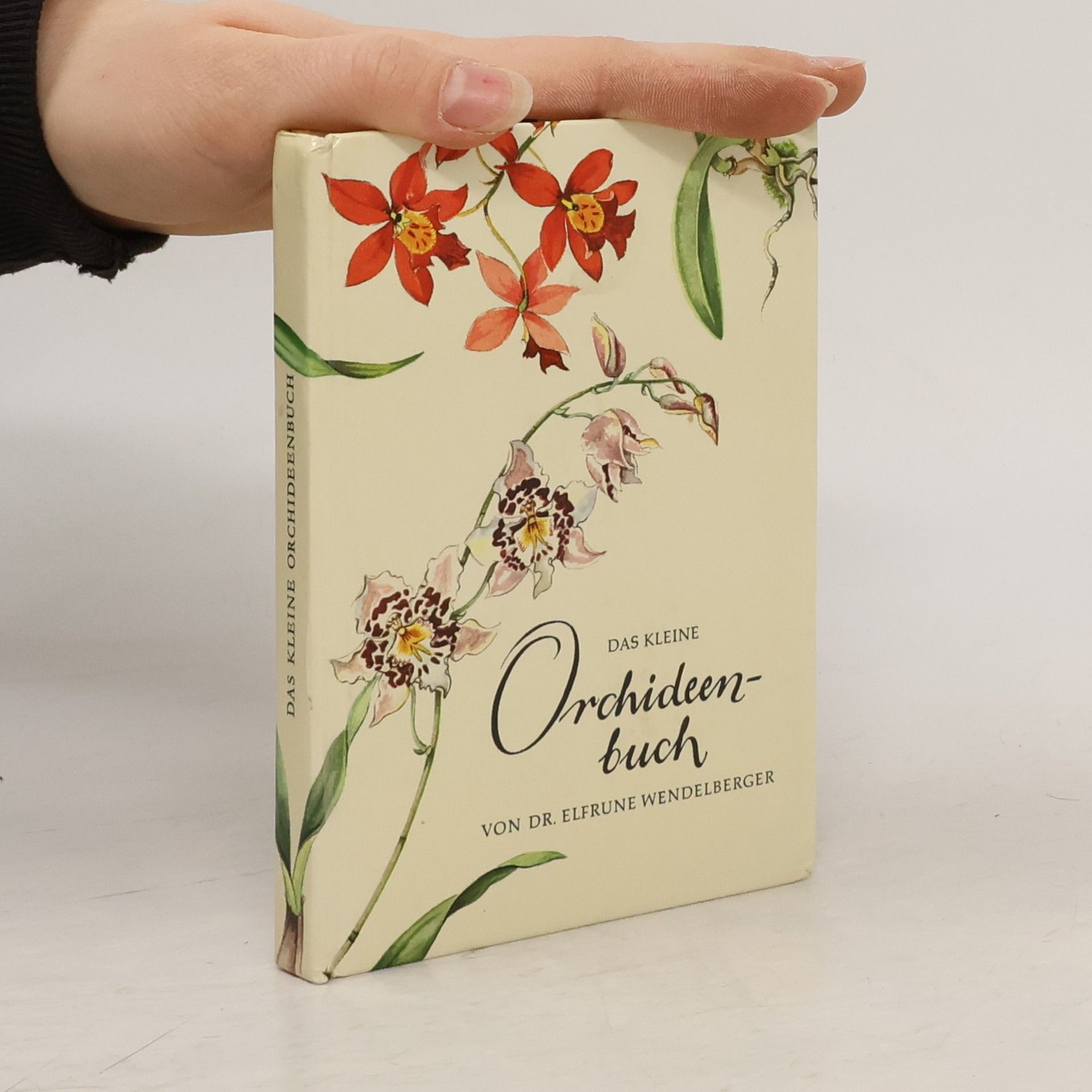Elfrune Wendelberger Das kleine Orchideenbuch