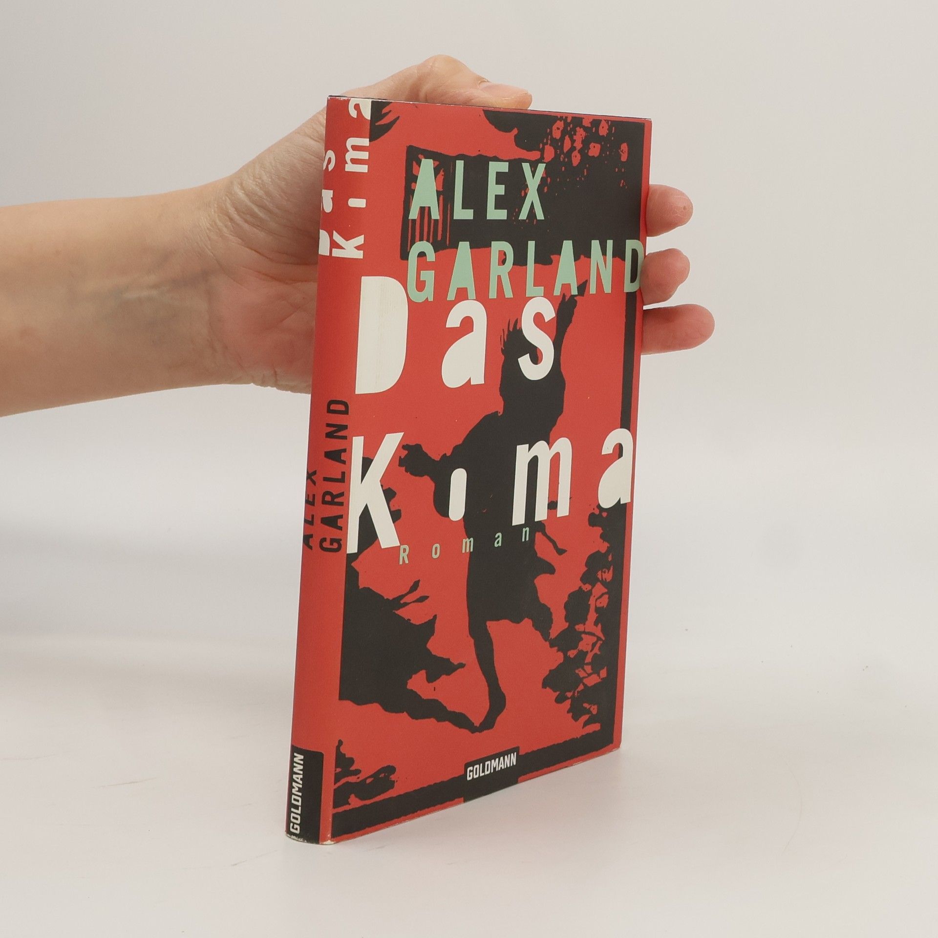 Alex Garland Das Koma