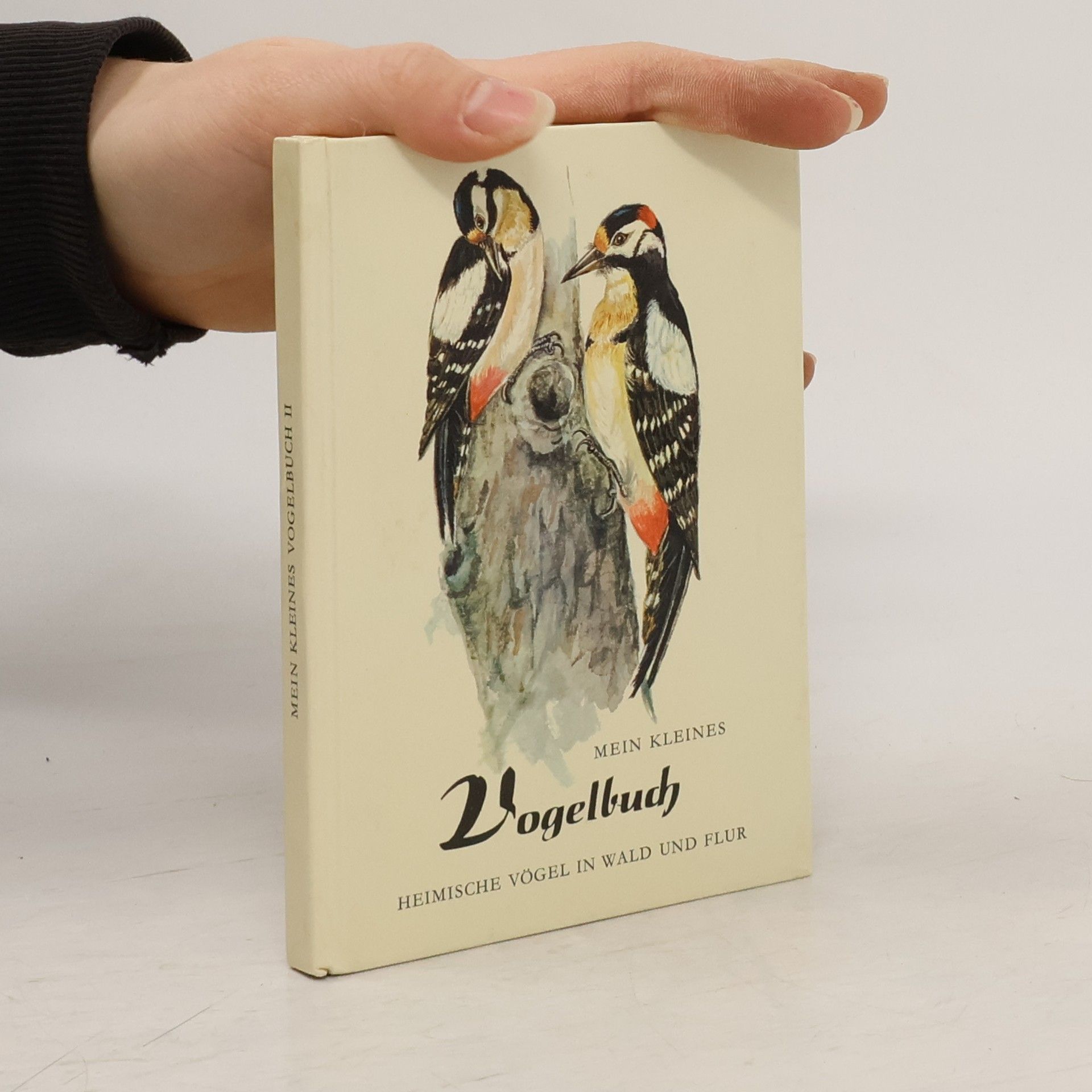Irmgard Engelhardt Mein kleines Vogelbuch II