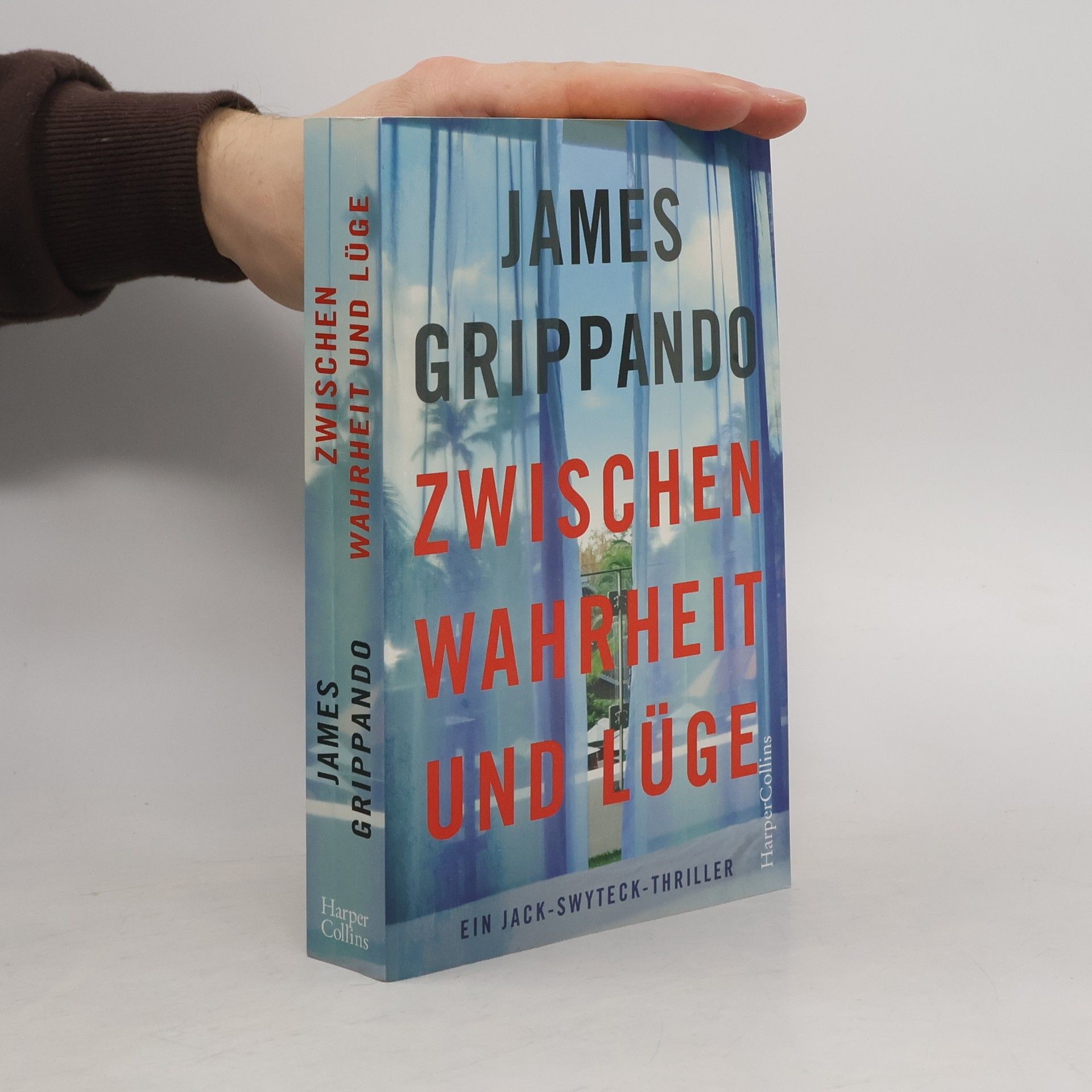 James Grippando Zwischen Wahrheit und Lüge