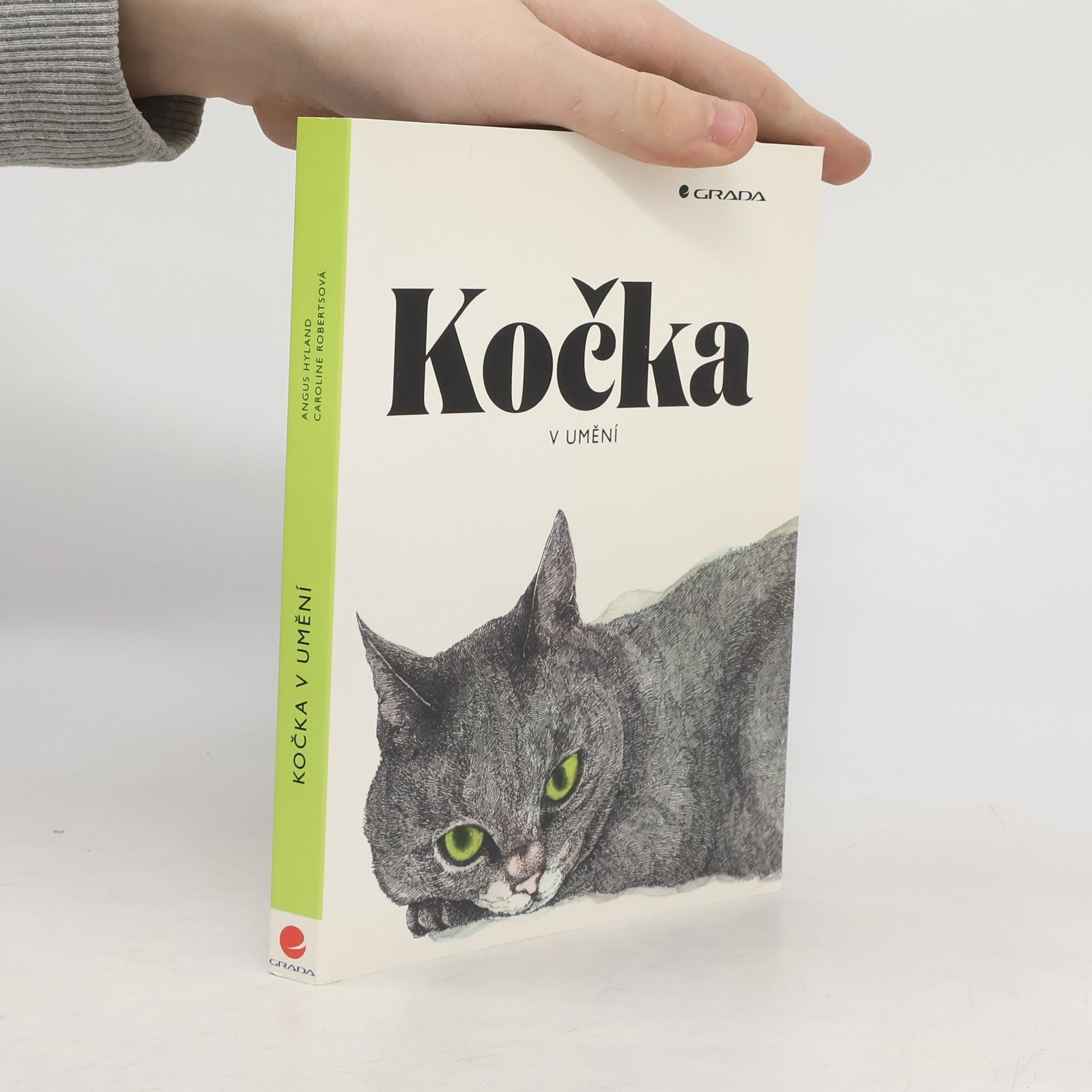 Angus Hyland Kočka v umění