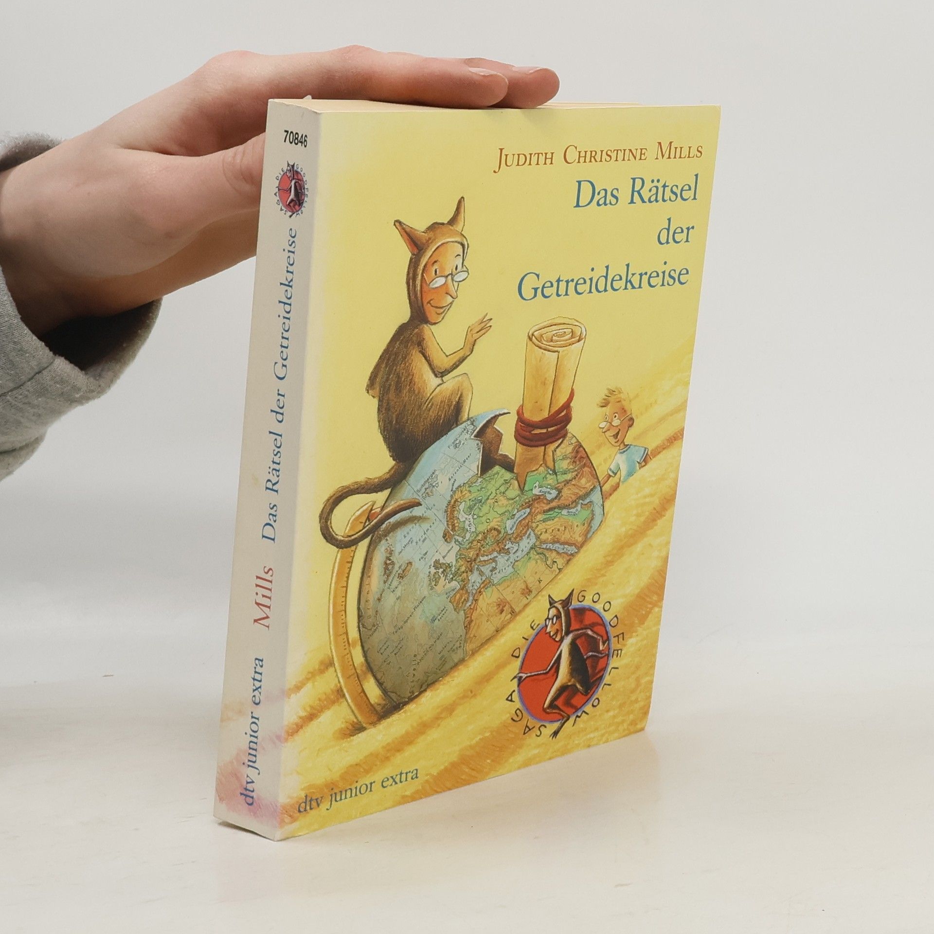 Judith Christine Mills Das Rätsel der Getreidekreise