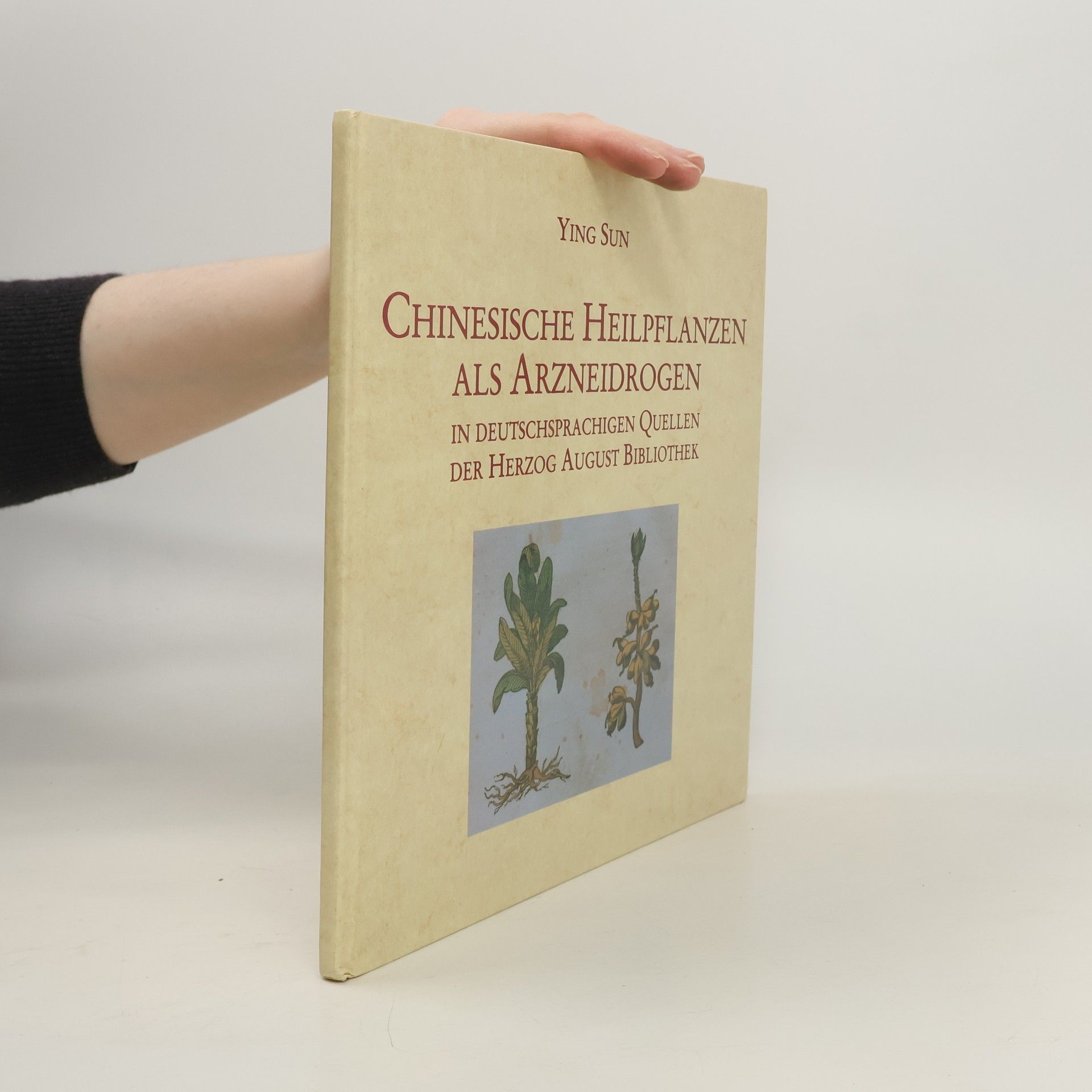 Ying Sun Chinesische Heilpflanzen als Arzneidrogen