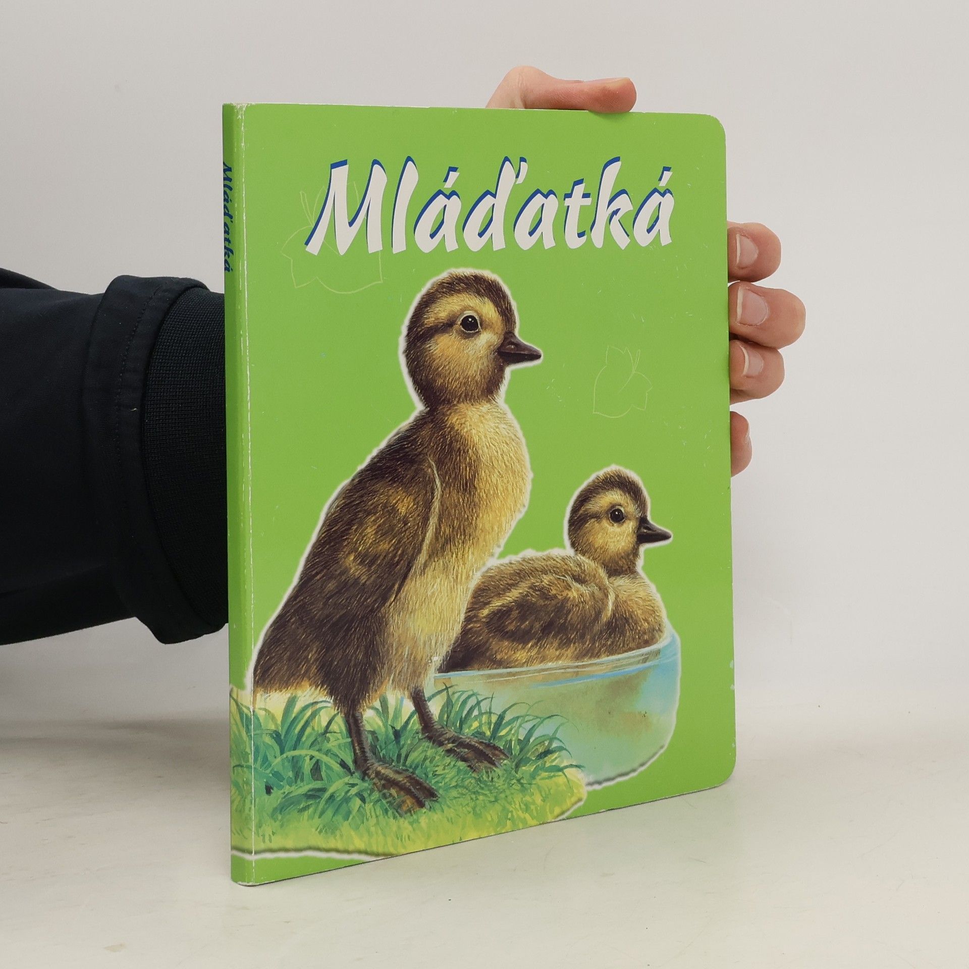 Jozef Pavlovič Mláďatká