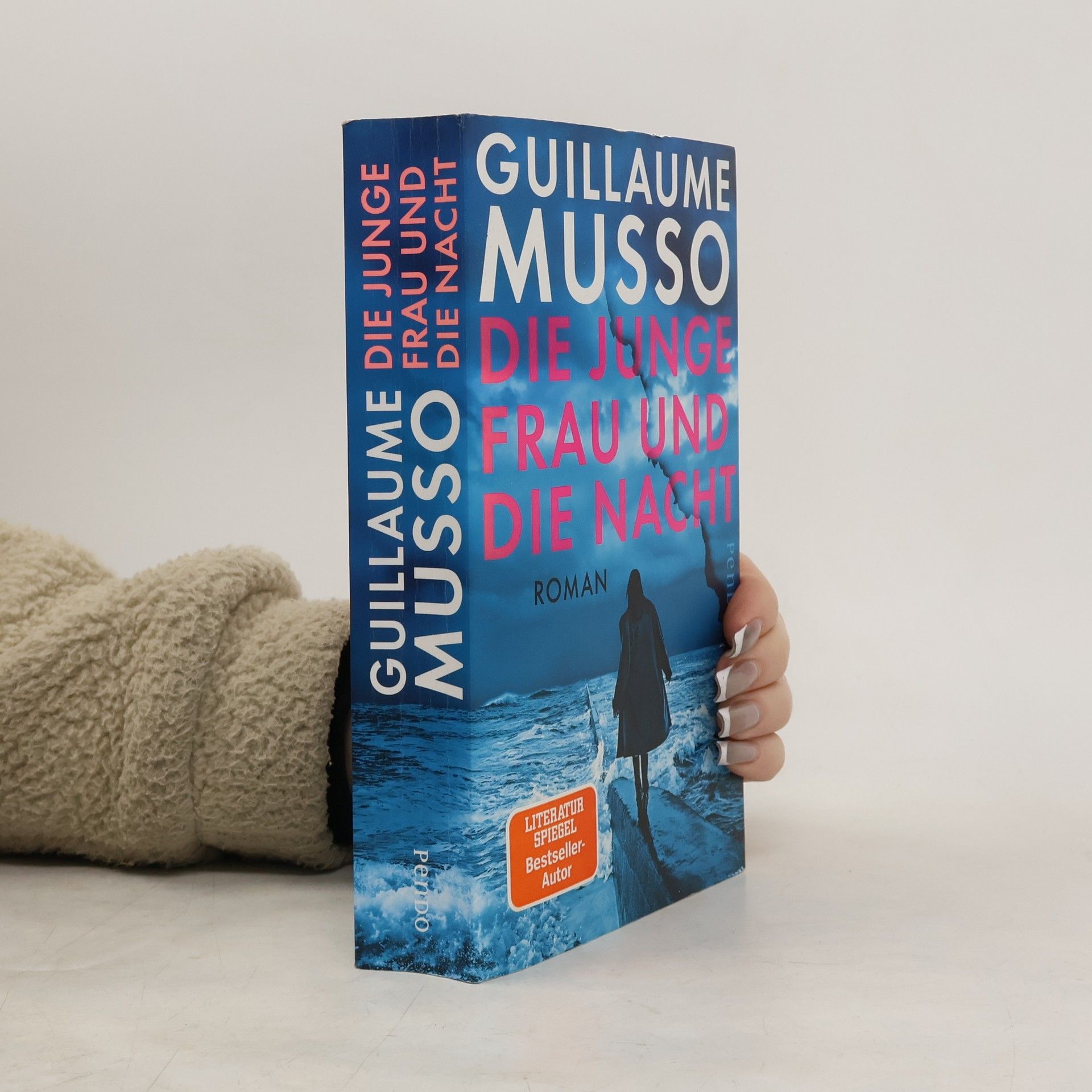 Guillaume Musso Die junge Frau und die Nacht