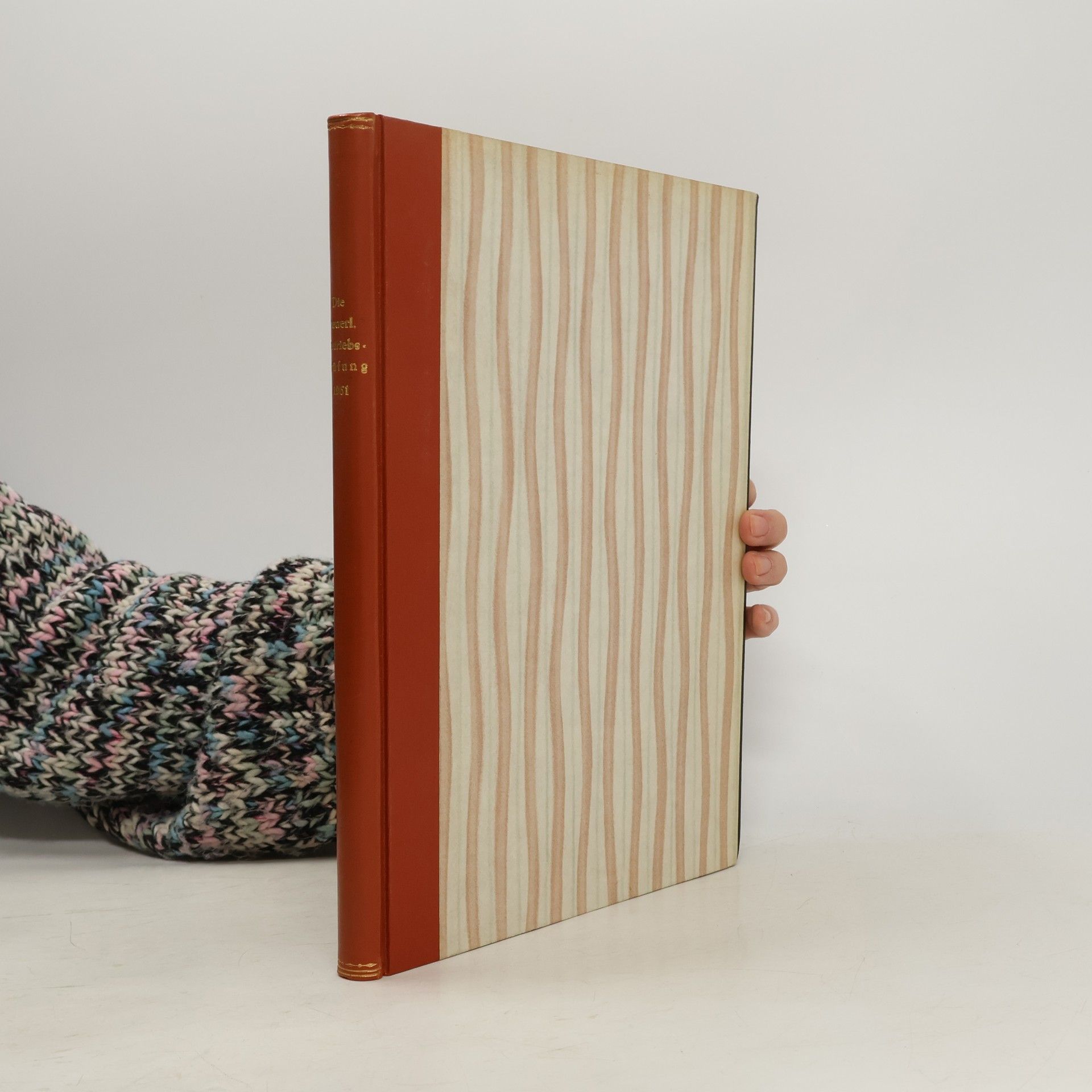 Collectif d'auteurs Die steuerliche Betriebsprüfung