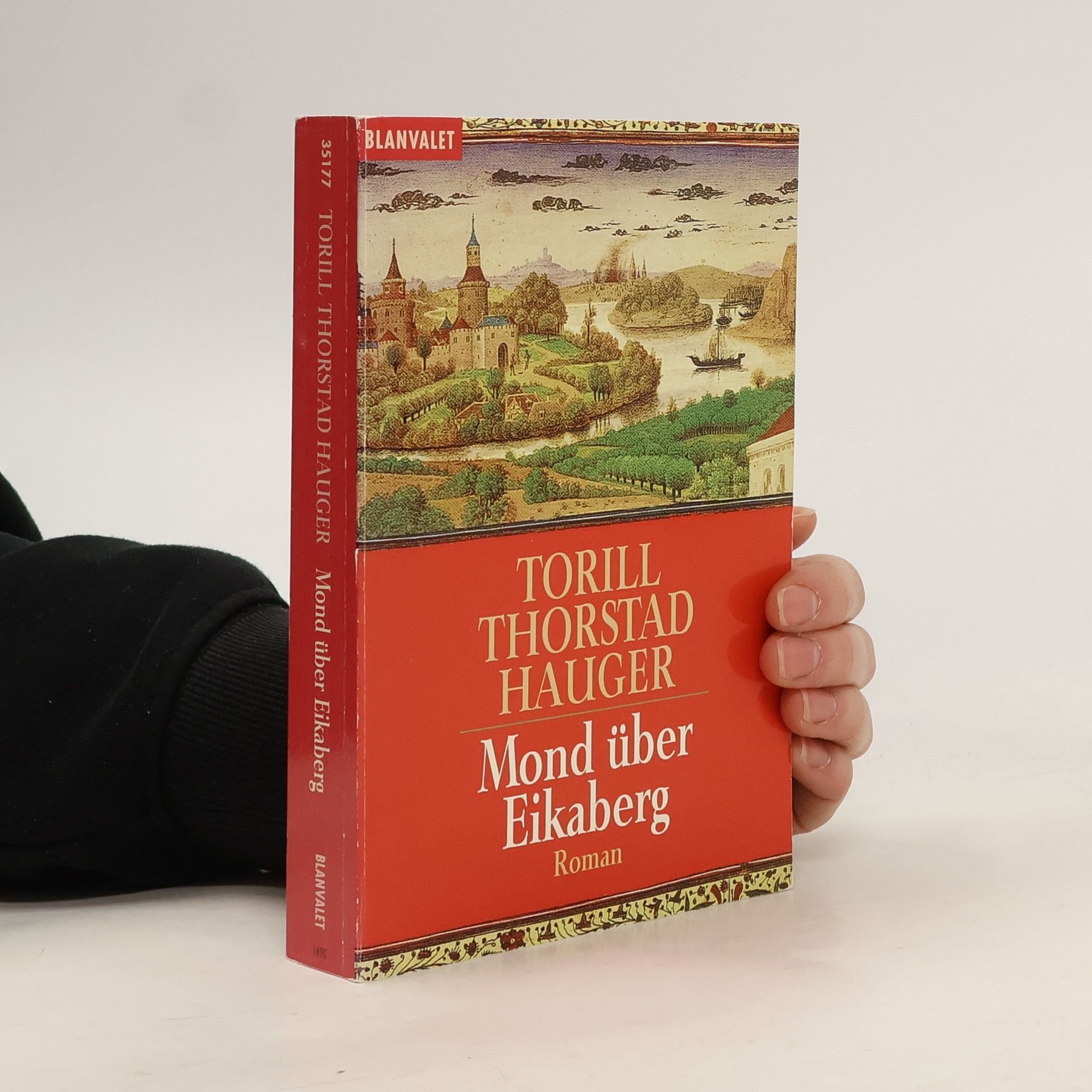 Torill Thorstad Hauger Mond über Eikaberg