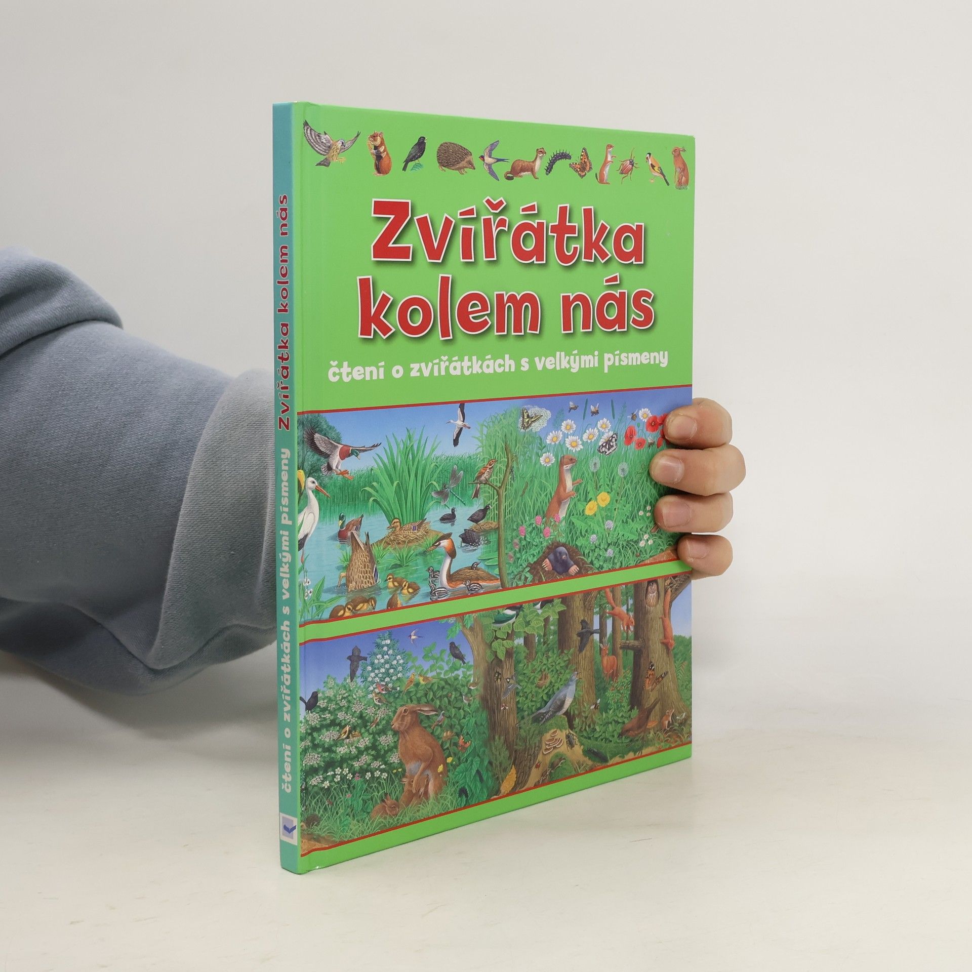 Autorenkollektiv Zvířátka kolem nás : čtení o zvířátkách s velkými písmeny