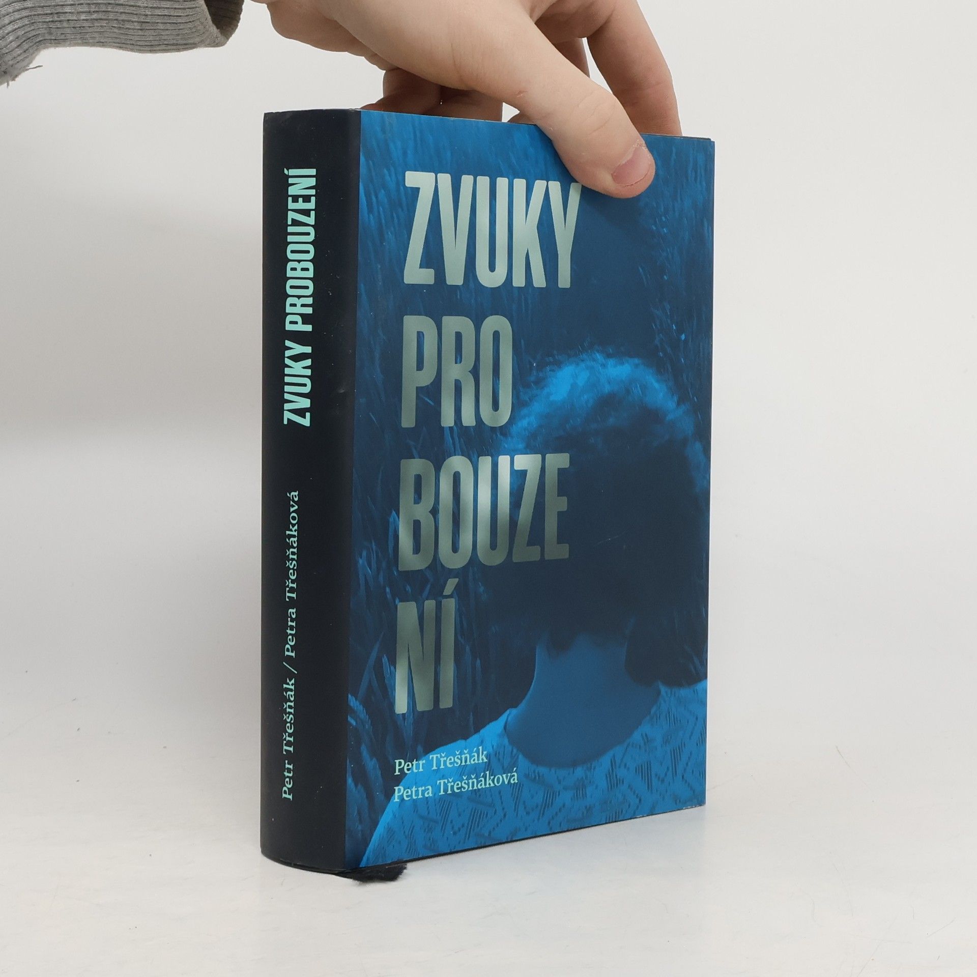 Petr Třešňák Zvuky probouzení