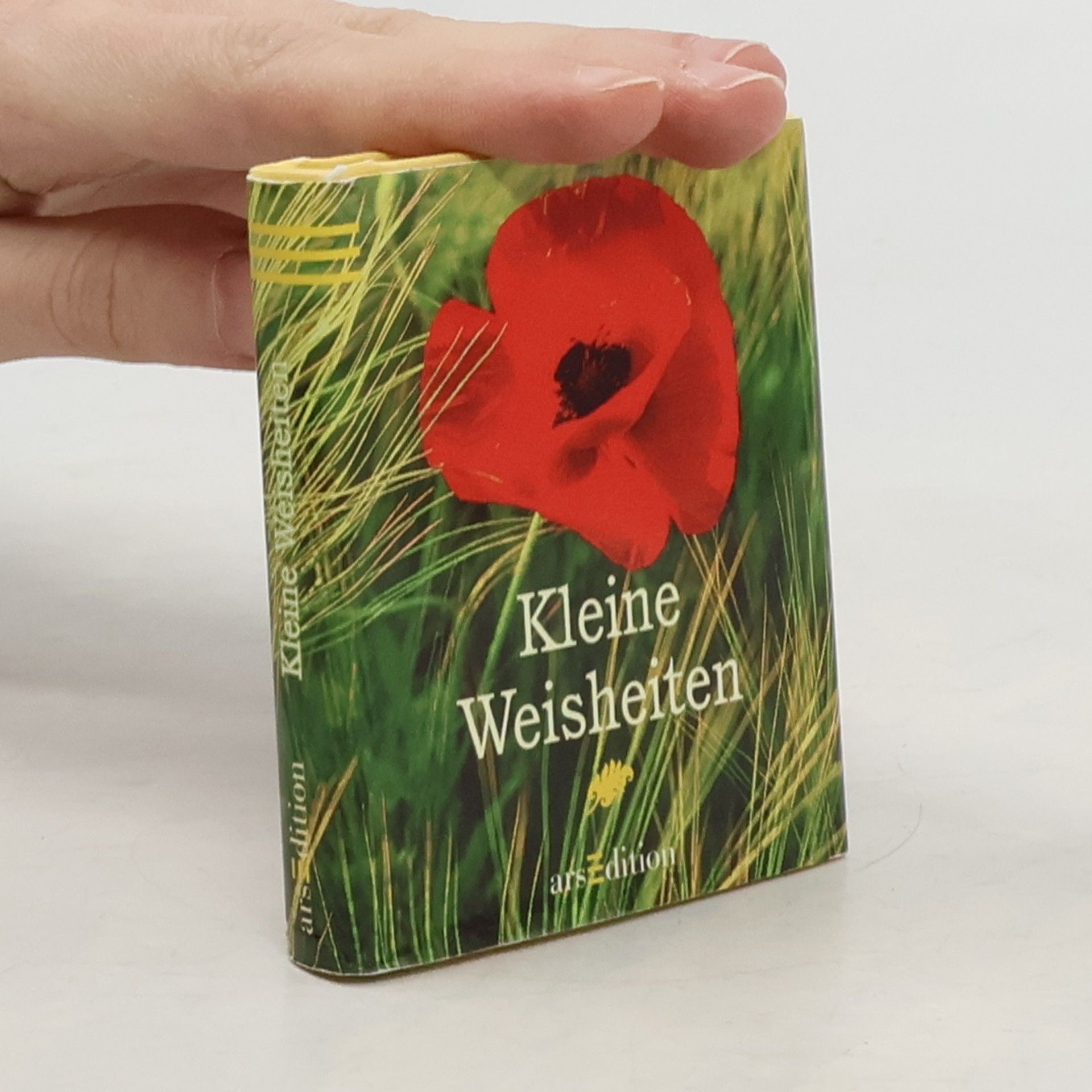 Autores varios Kleine Weisheiten