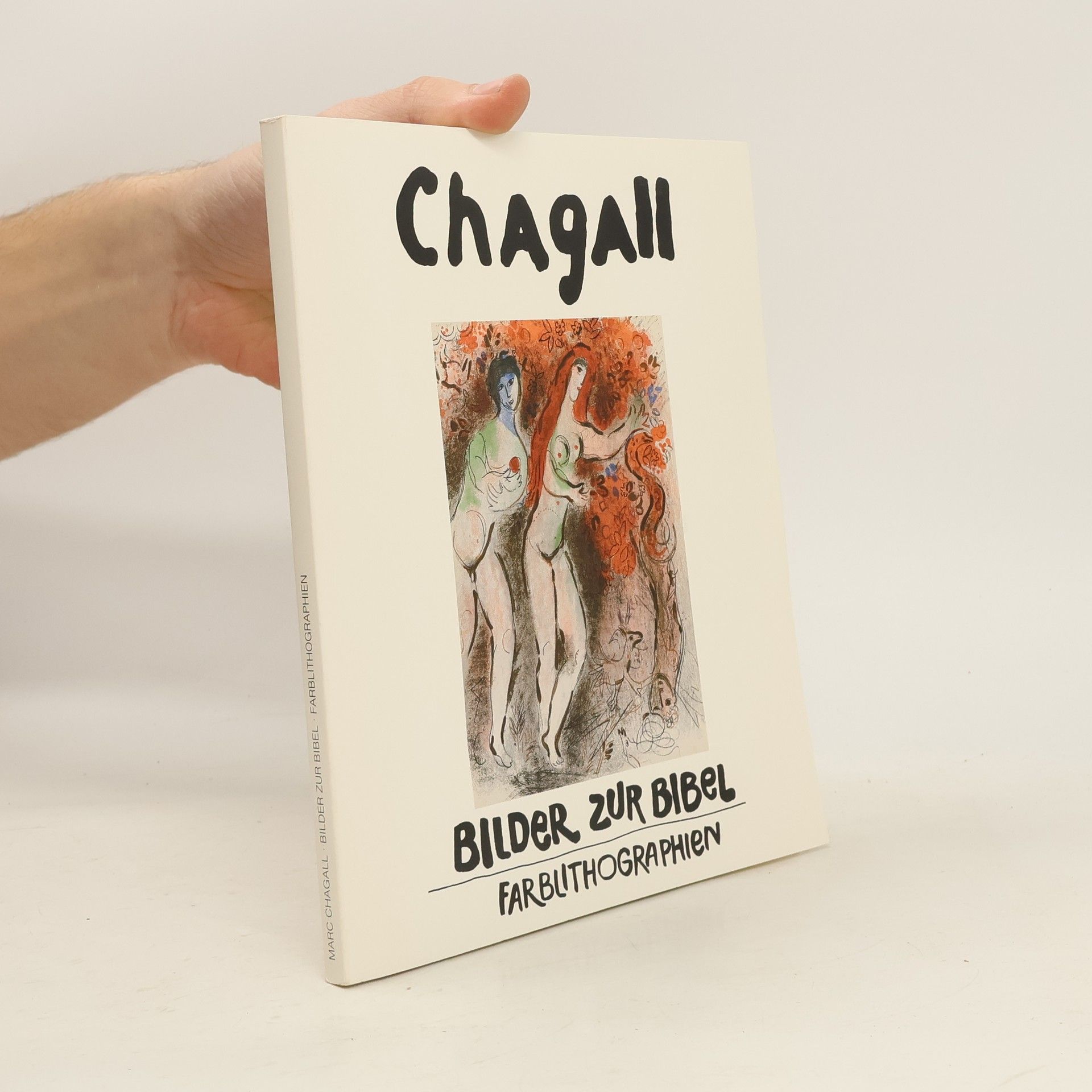 Collectif d'auteurs Marc Chagall. Bilder zur Bibel