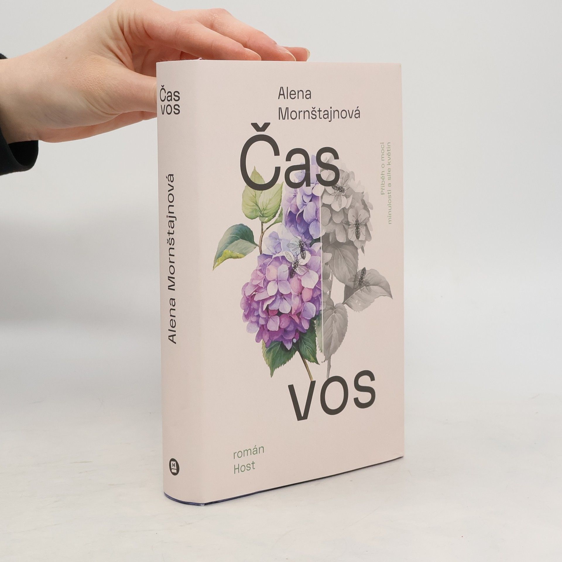 Alena Mornštajnová Čas vos