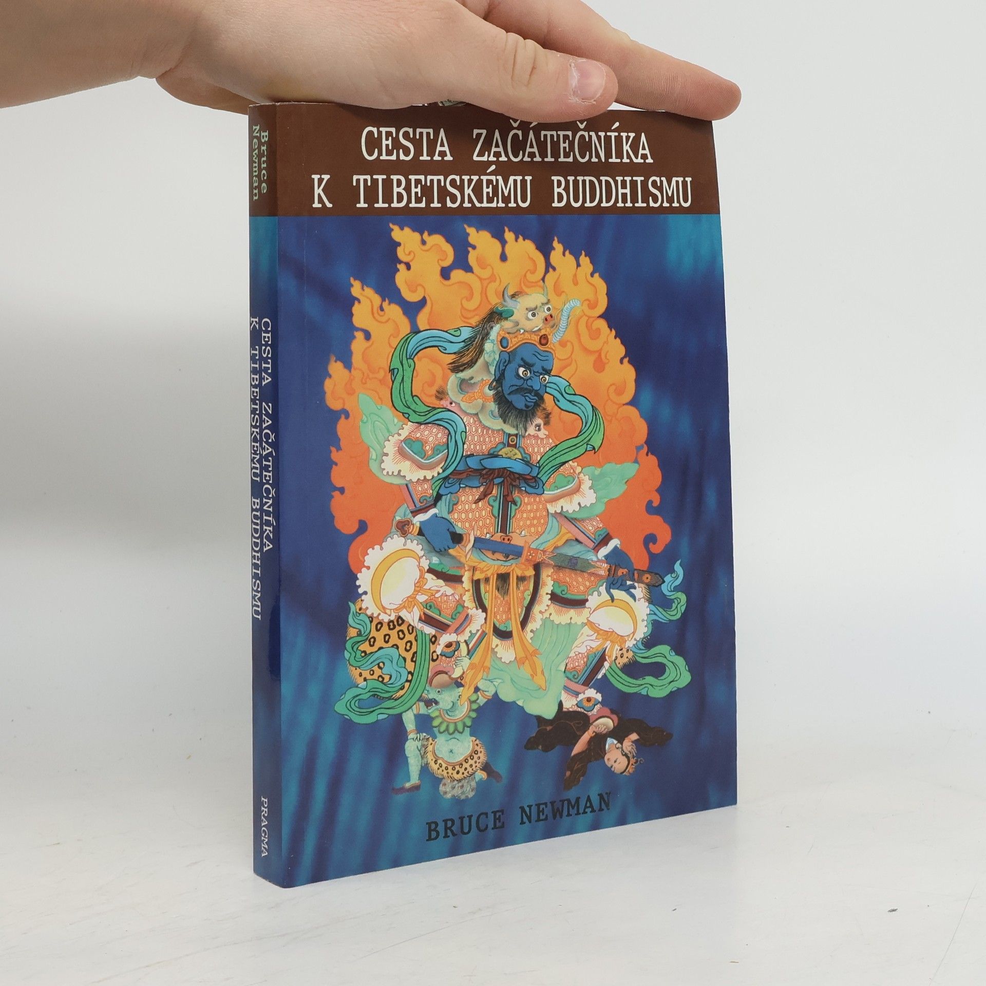 Josef Pecinovský Cesta začátečníka k tibetskému buddhismu. Zápisky z duchovní cesty