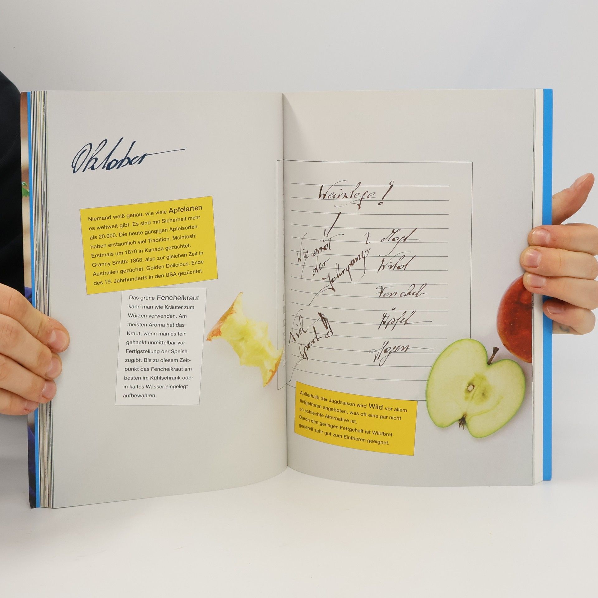 Alois Mattersberger Clever kochen