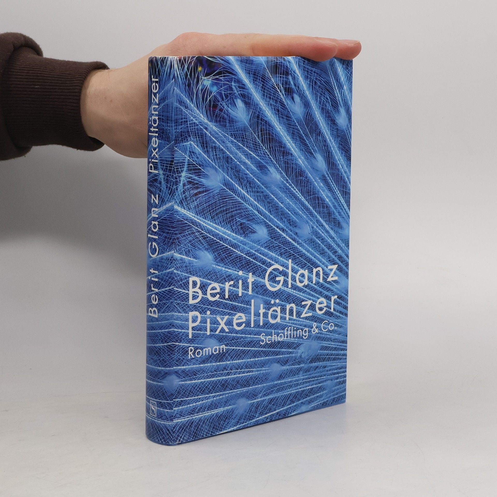 Berit Glanz Pixeltänzer