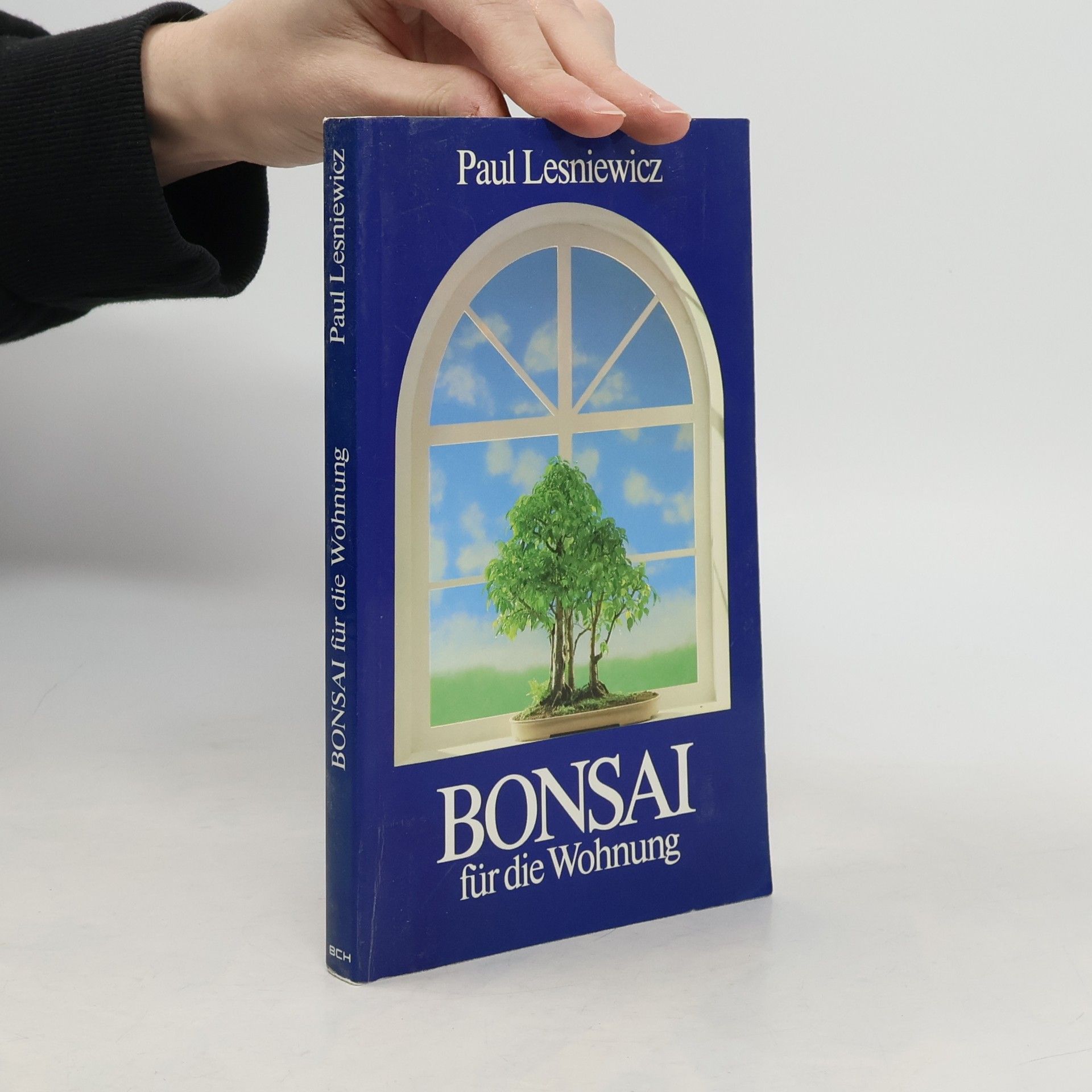 Bonsai für die Wohnung