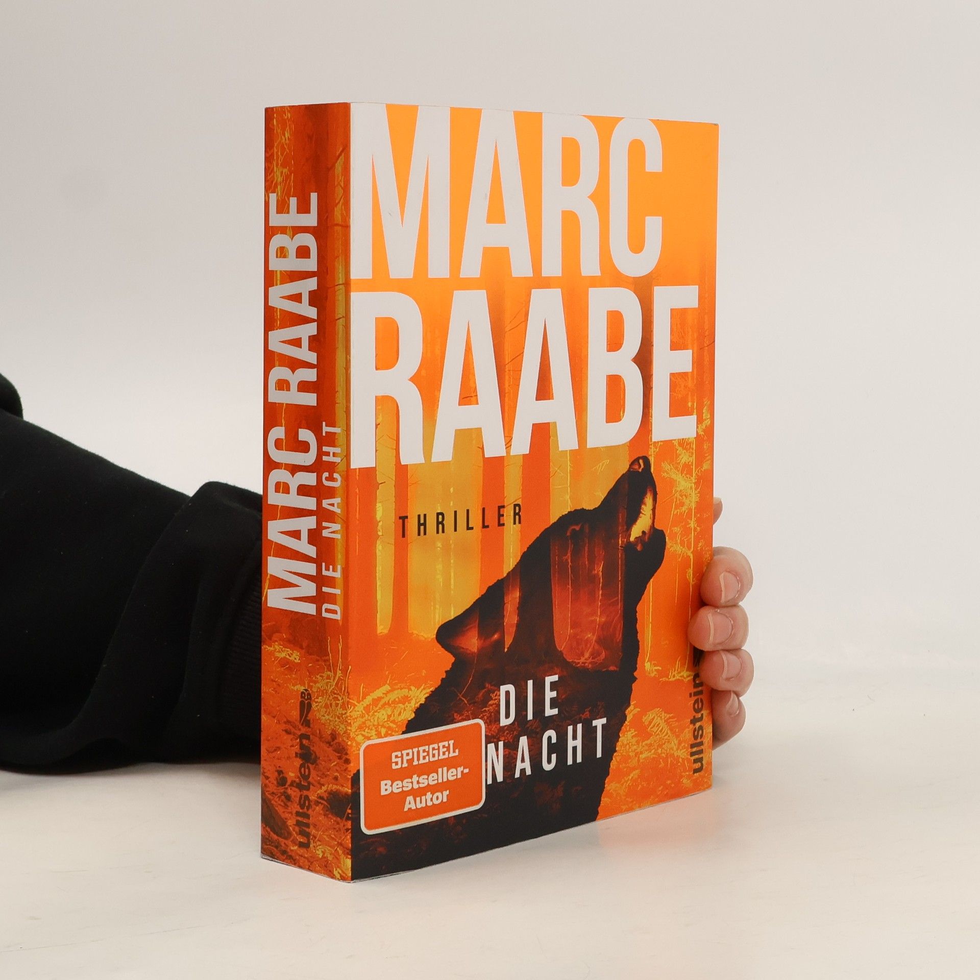 Marc Raabe Die Nacht